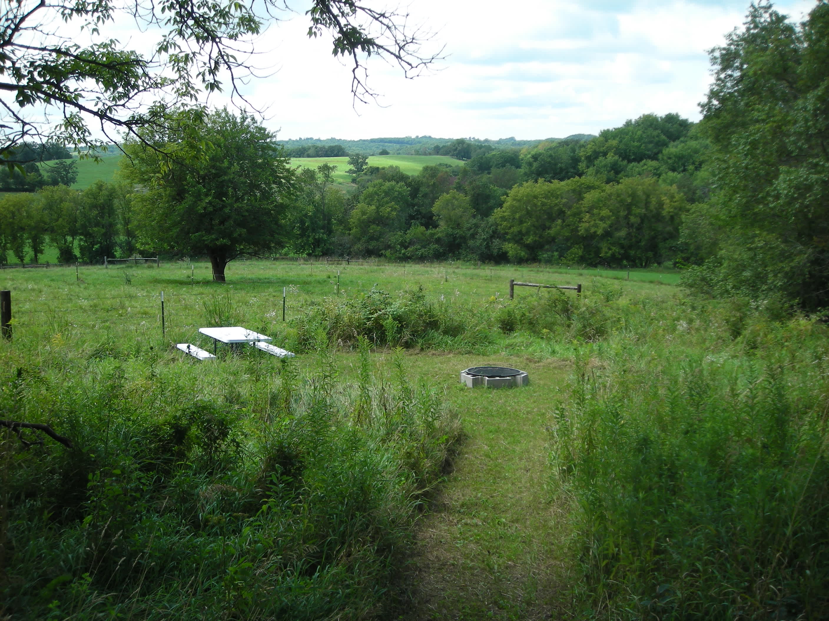 Picture of the site