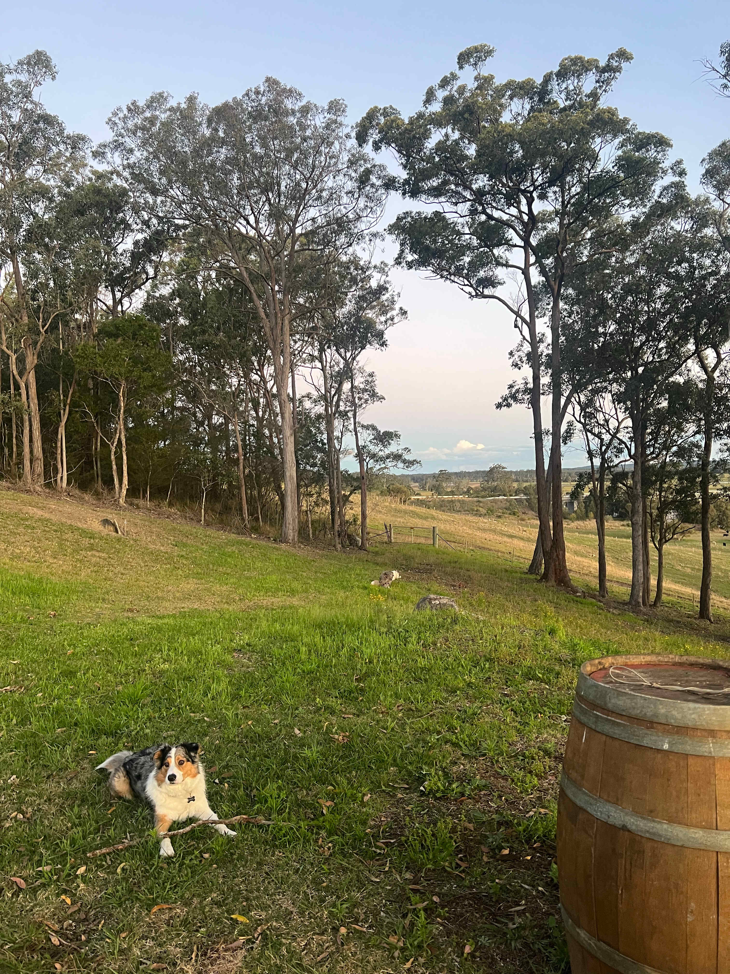 Myall View Hideaway