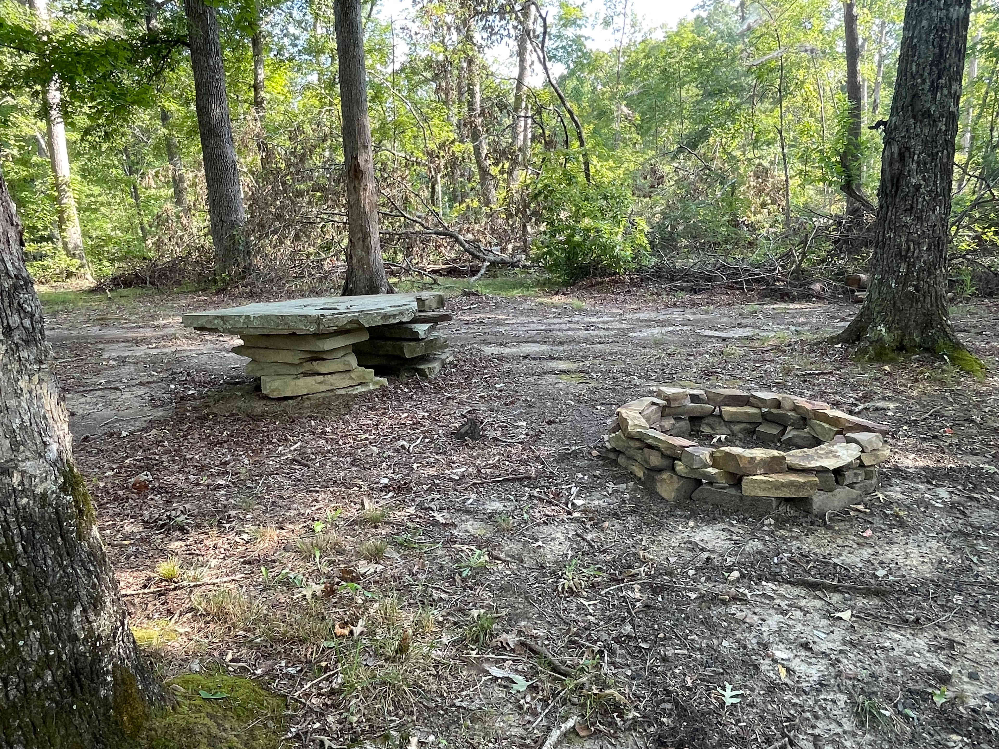 Picture of the site