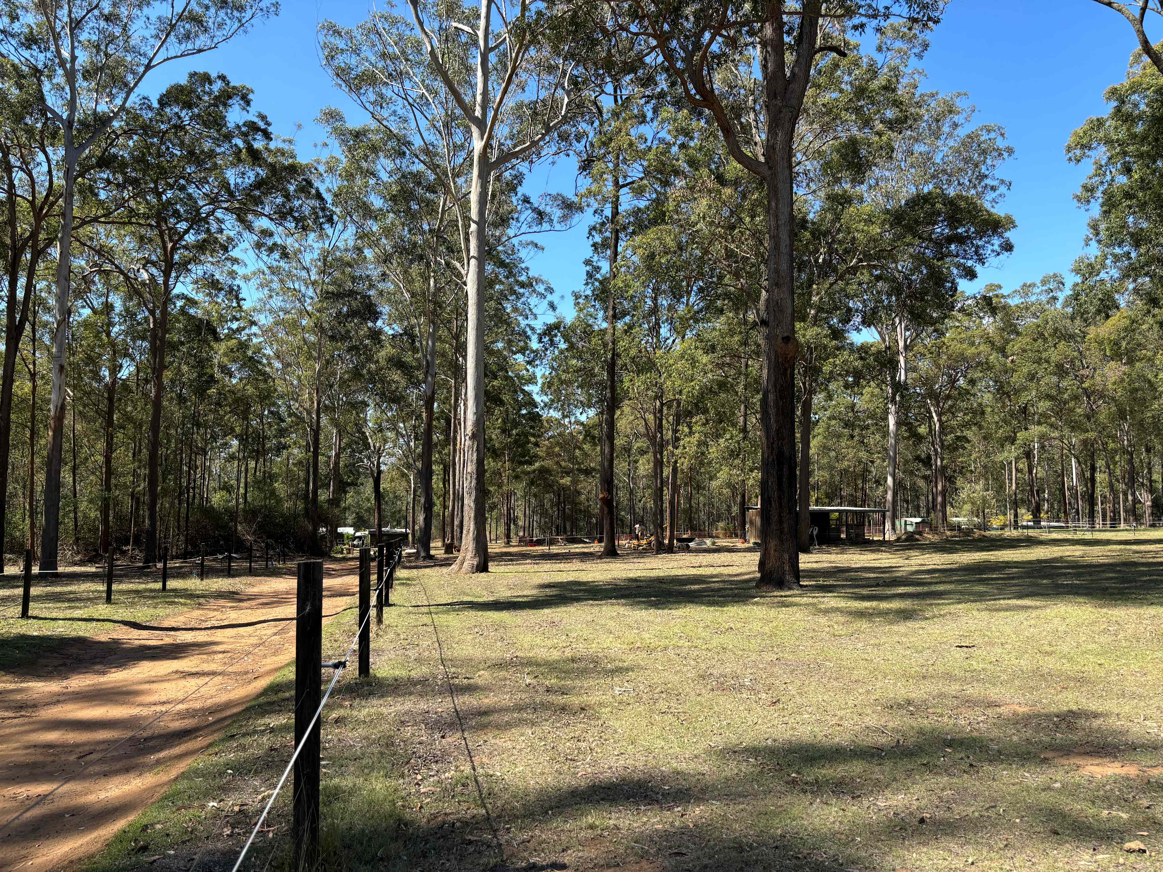 Blackbutt Permaculture Farm Camp
