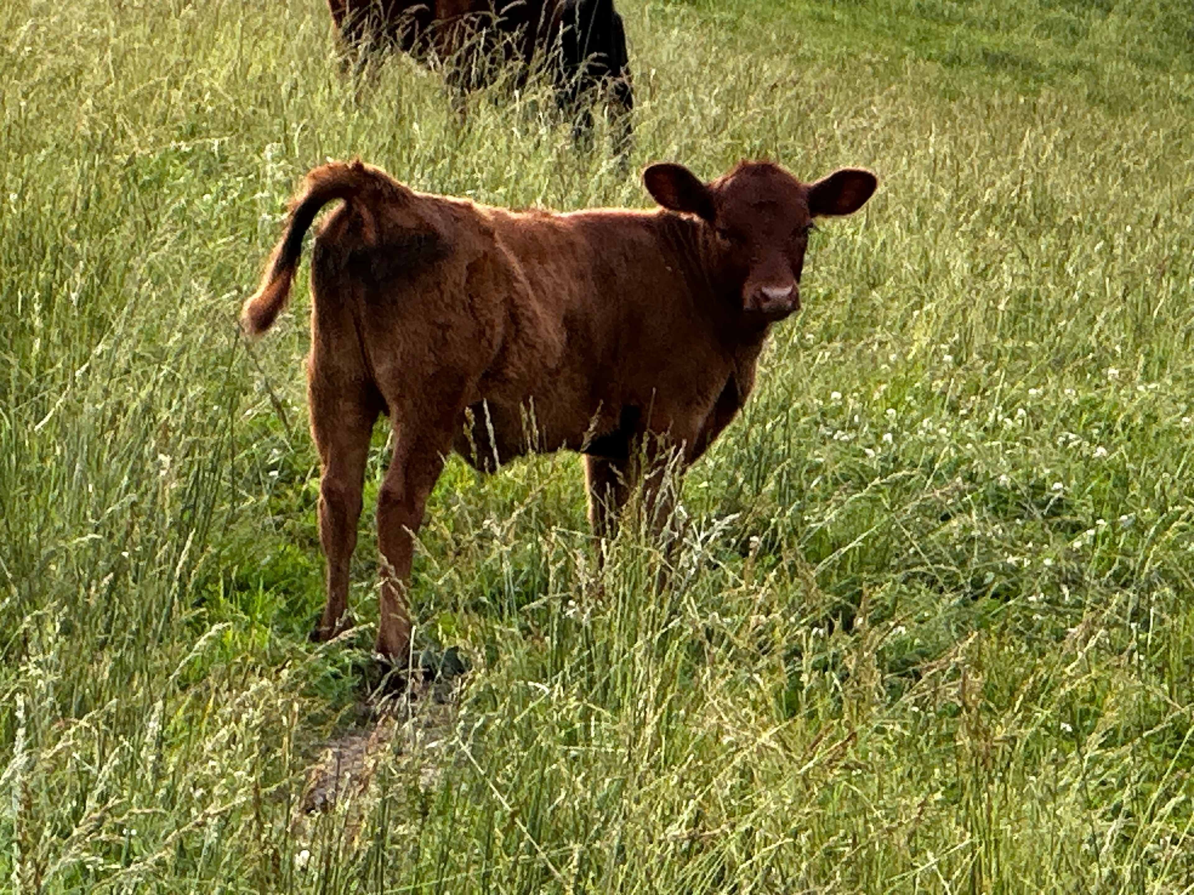 Powder Keg Farms