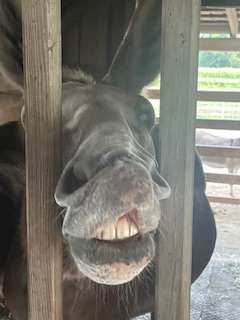 I just loved this pic of our new friend