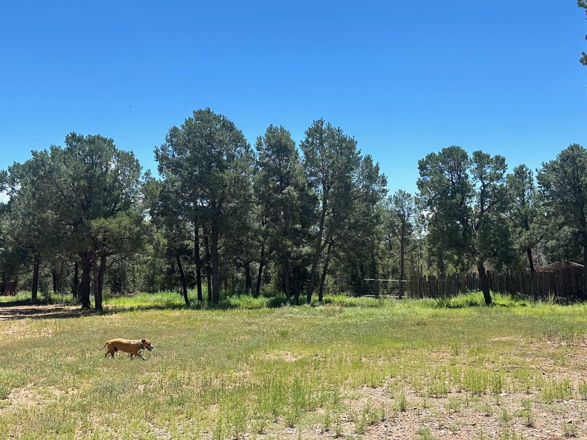 Edge Of The Woods Camping