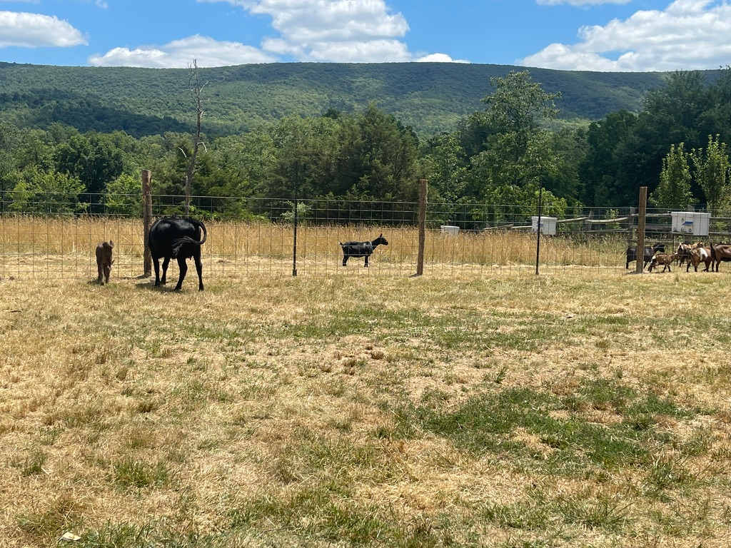 Powder Keg Farms