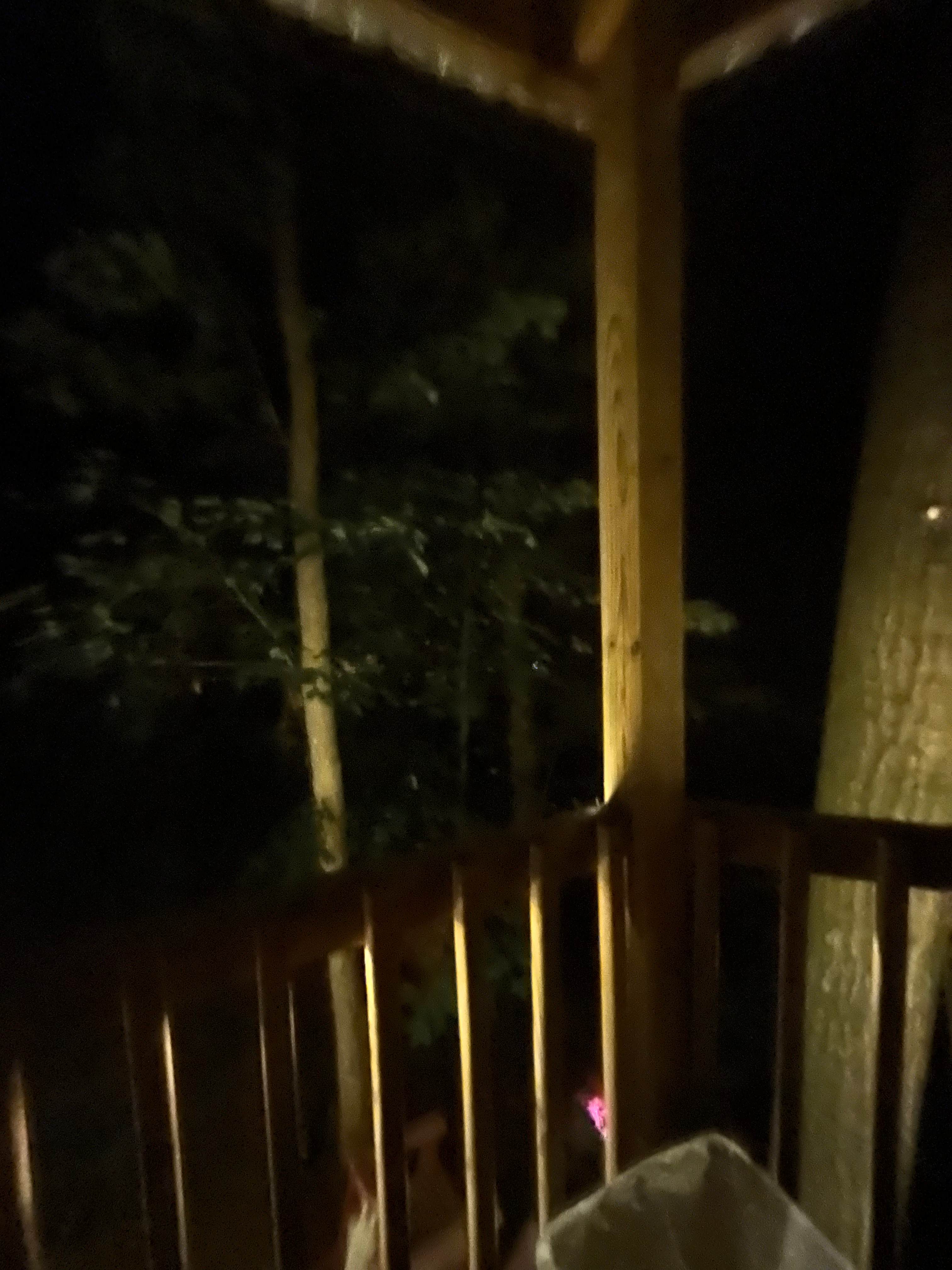 Treasure Hunt Treehouse