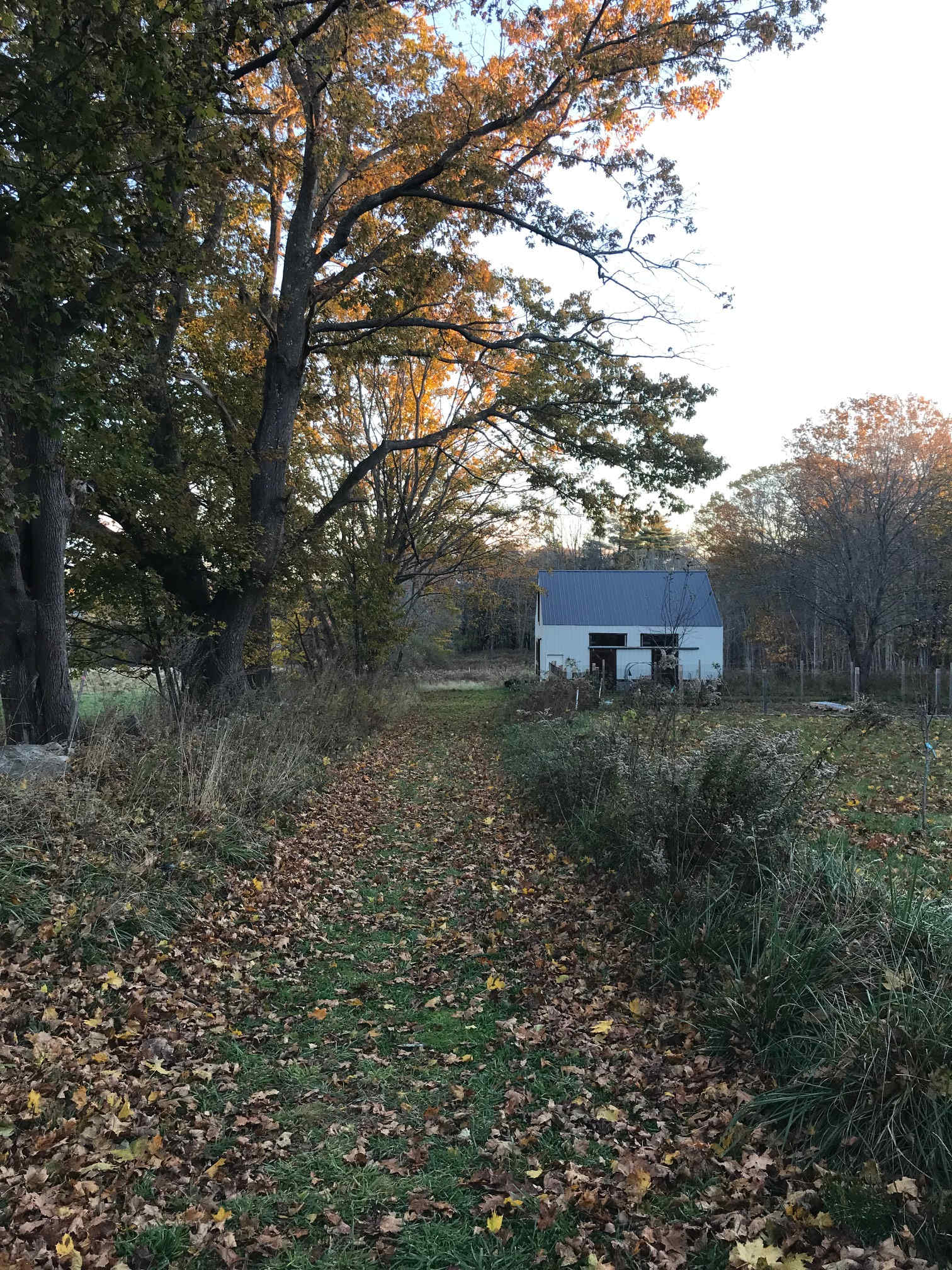 Camp at Appleseed Flower Farm