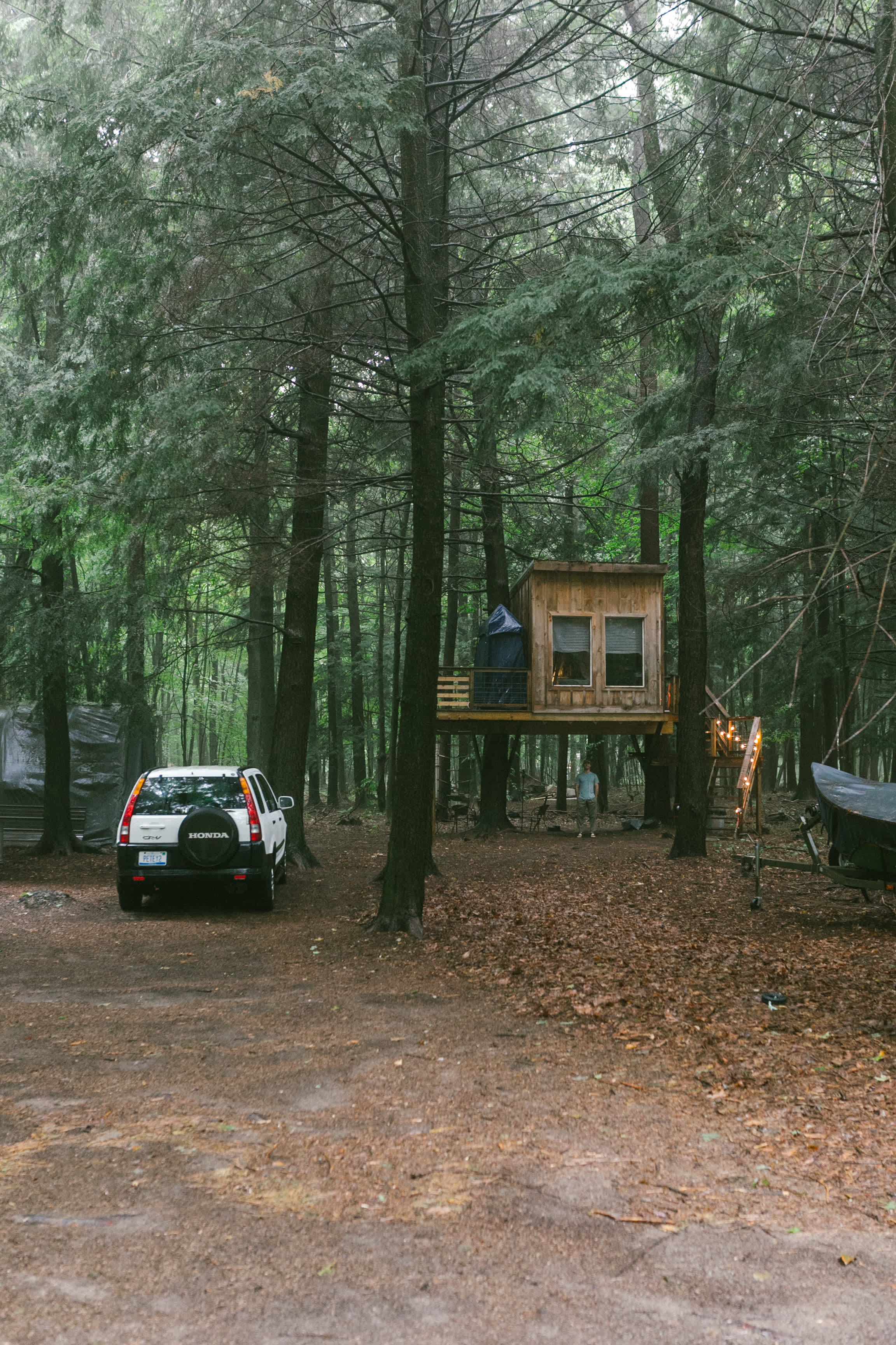 Viewing the treehouse from the road.