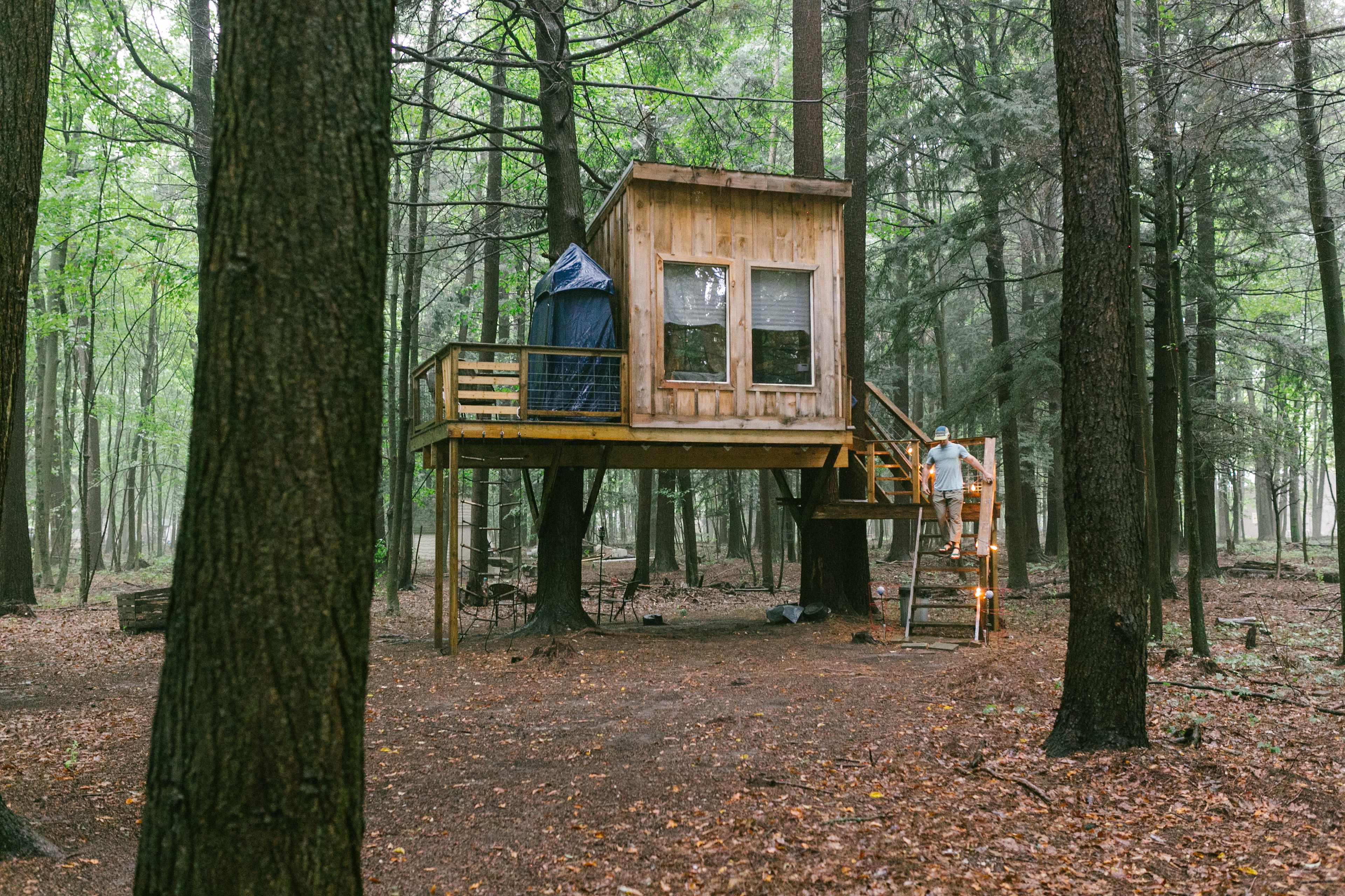 The Treehouse!