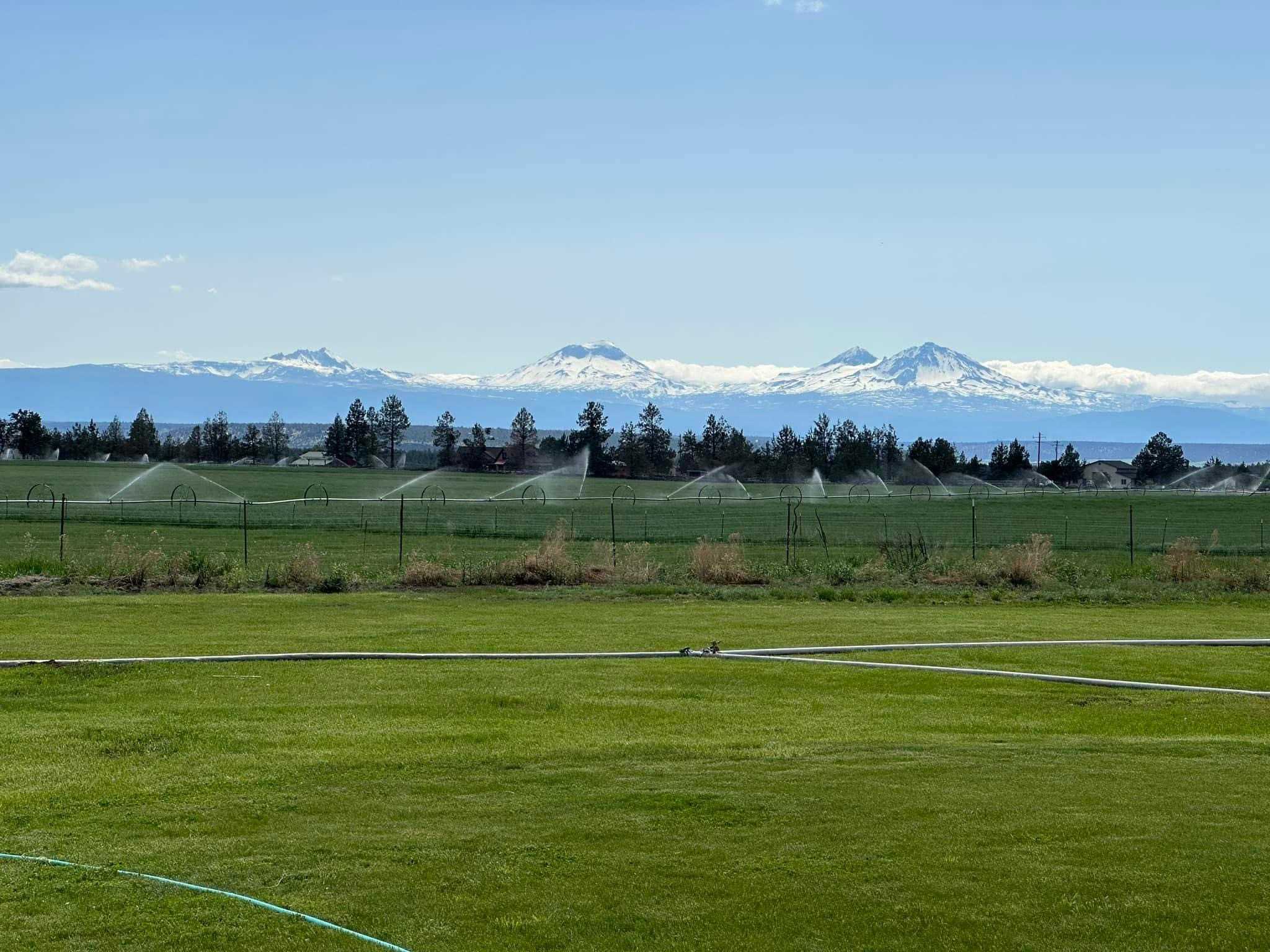 Bolton Estates Farm & Gardens