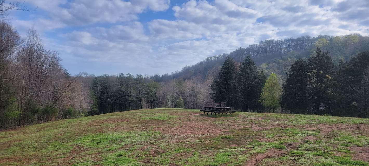 Spring in The Meadow @ Burnsy Acres