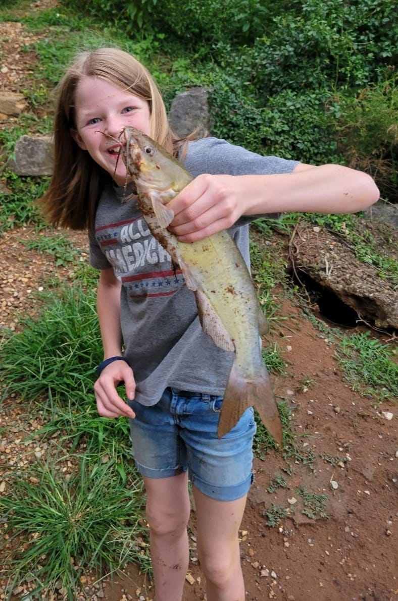 Excellent fishing is just 7mins from The Meadow. Numerous species are available.
Bait & tackle plus a fly fishing store are located nearby as well