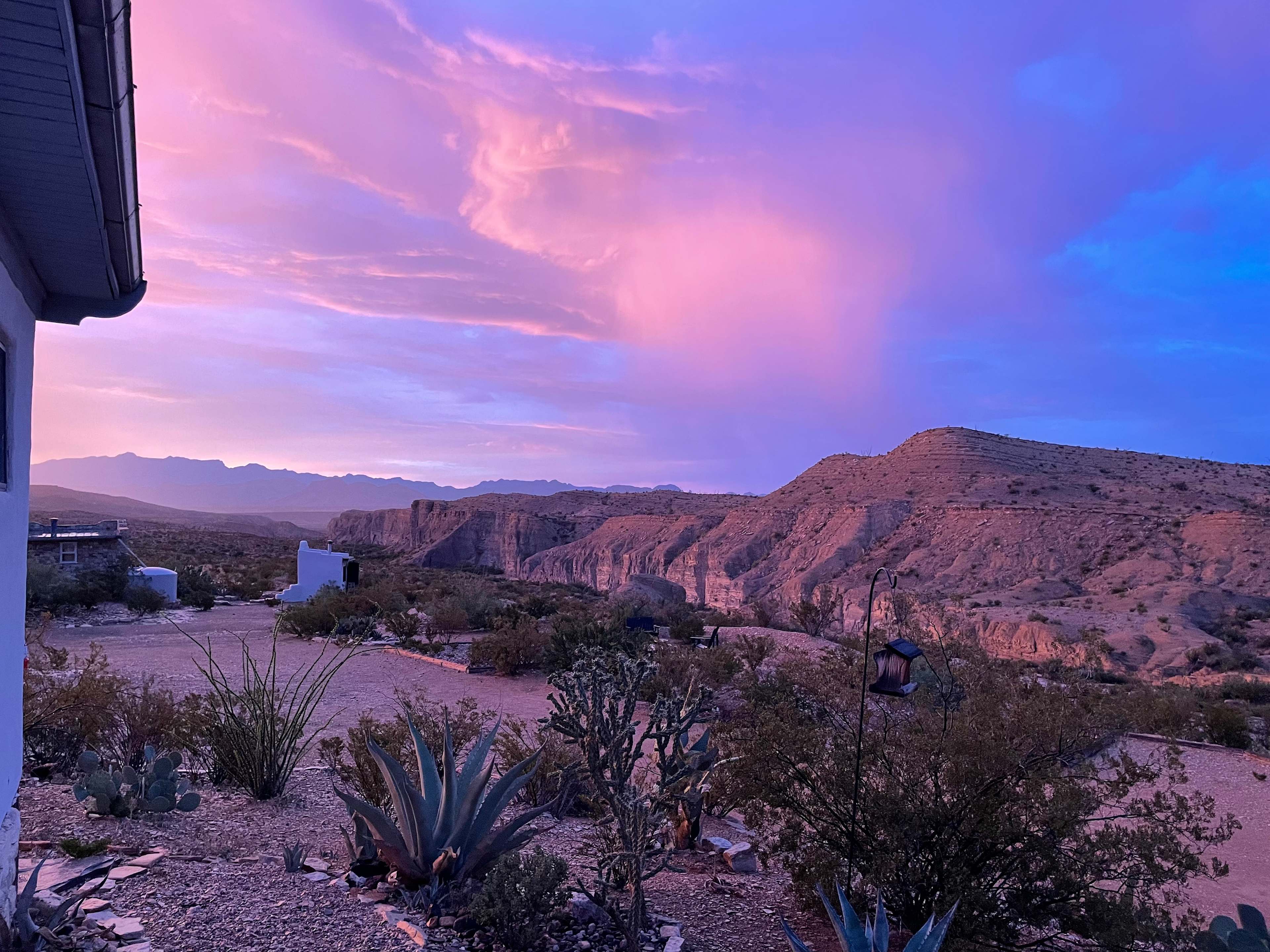 Beautiful desert light.