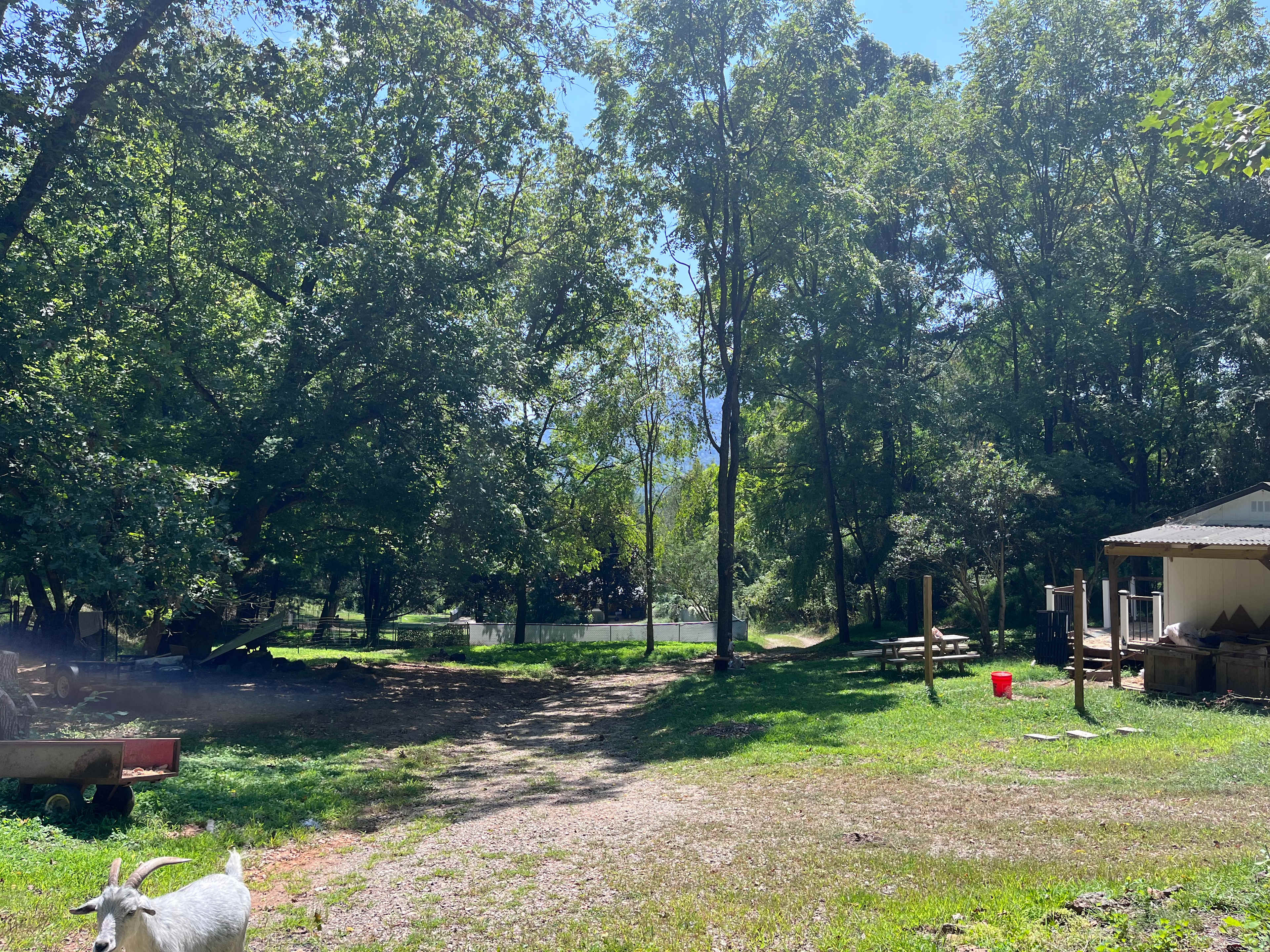 Picture of the site