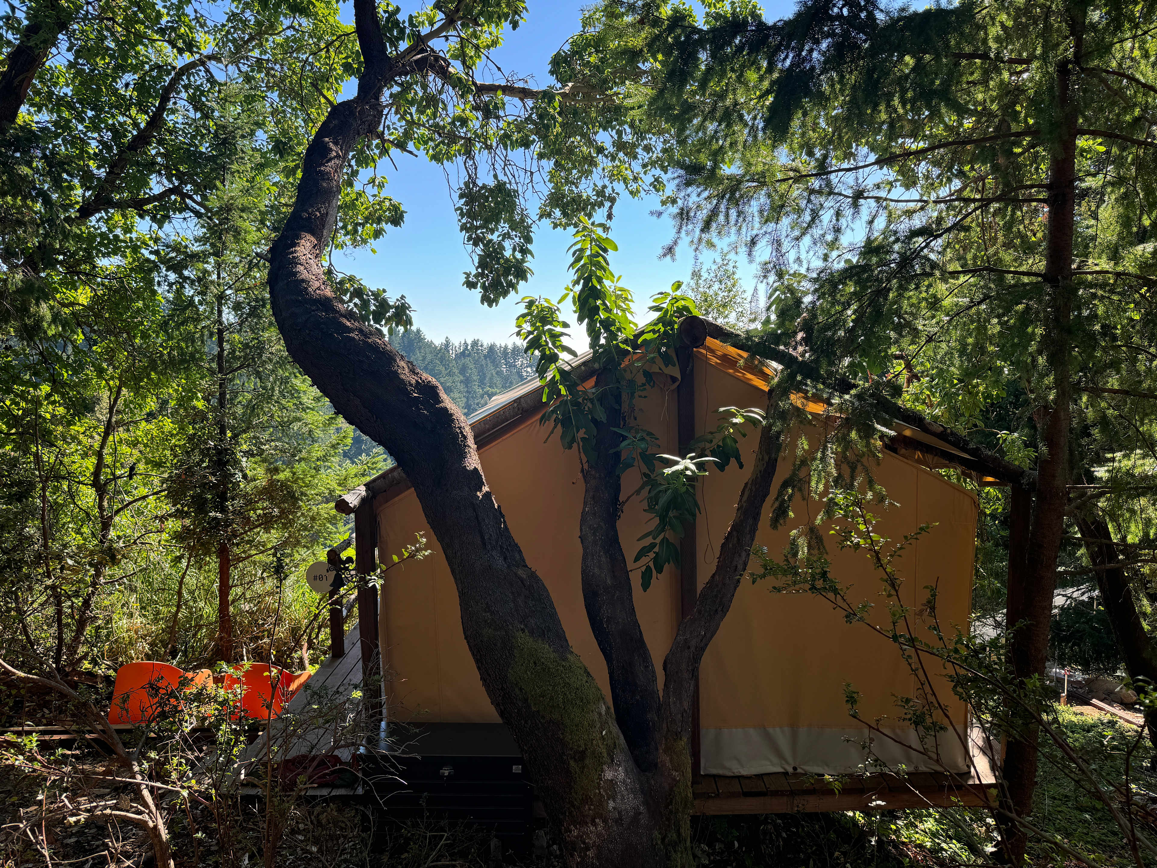 Kings Mountain Camp w/ ocean views