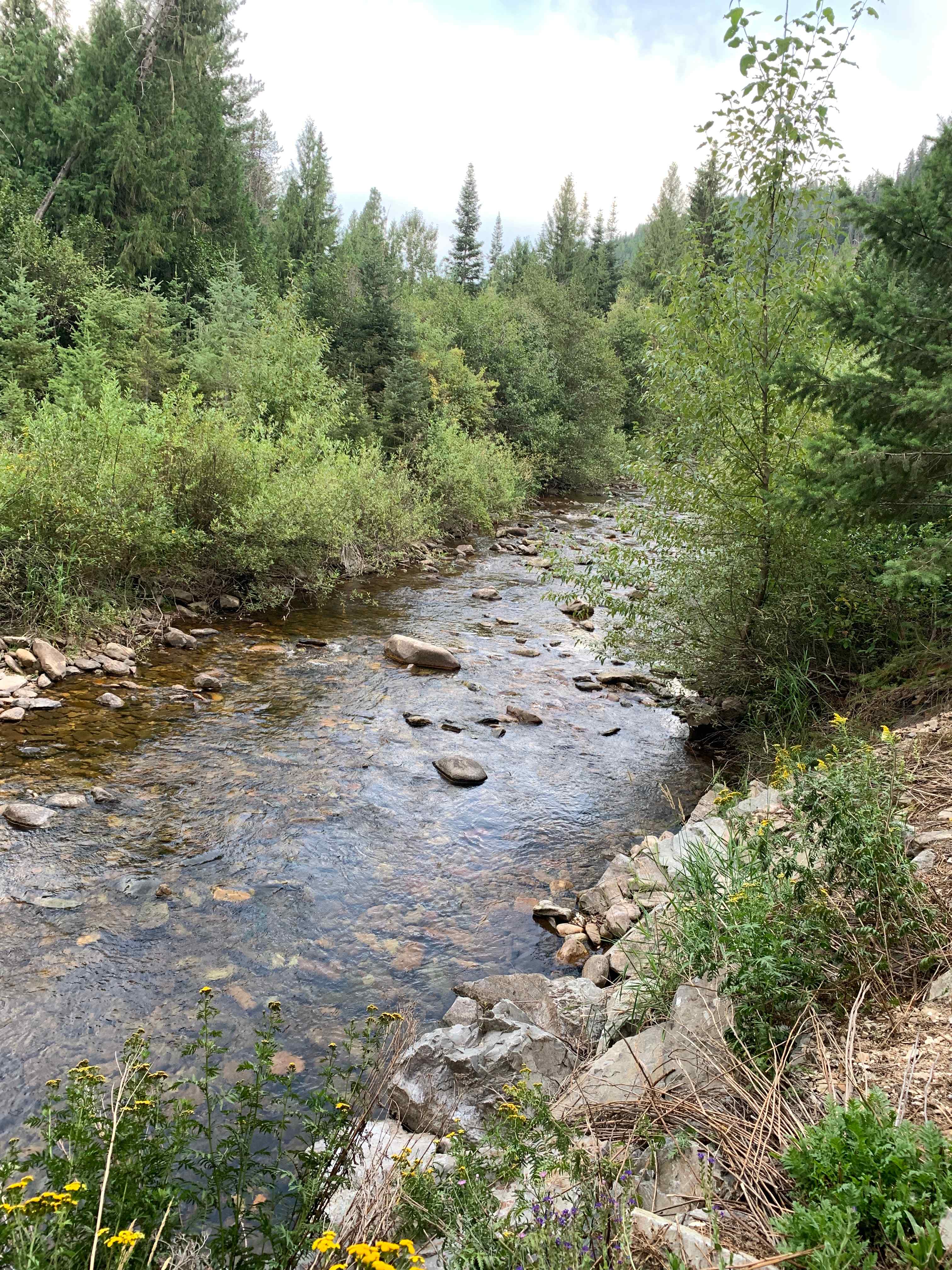 Picture of the site