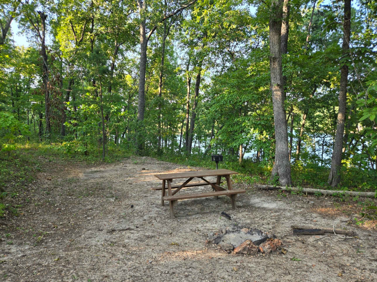 Picture of the site