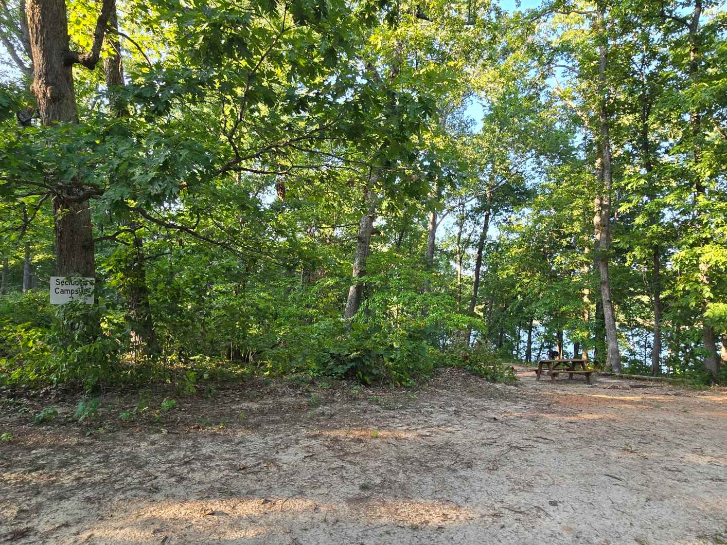 Picture of the site