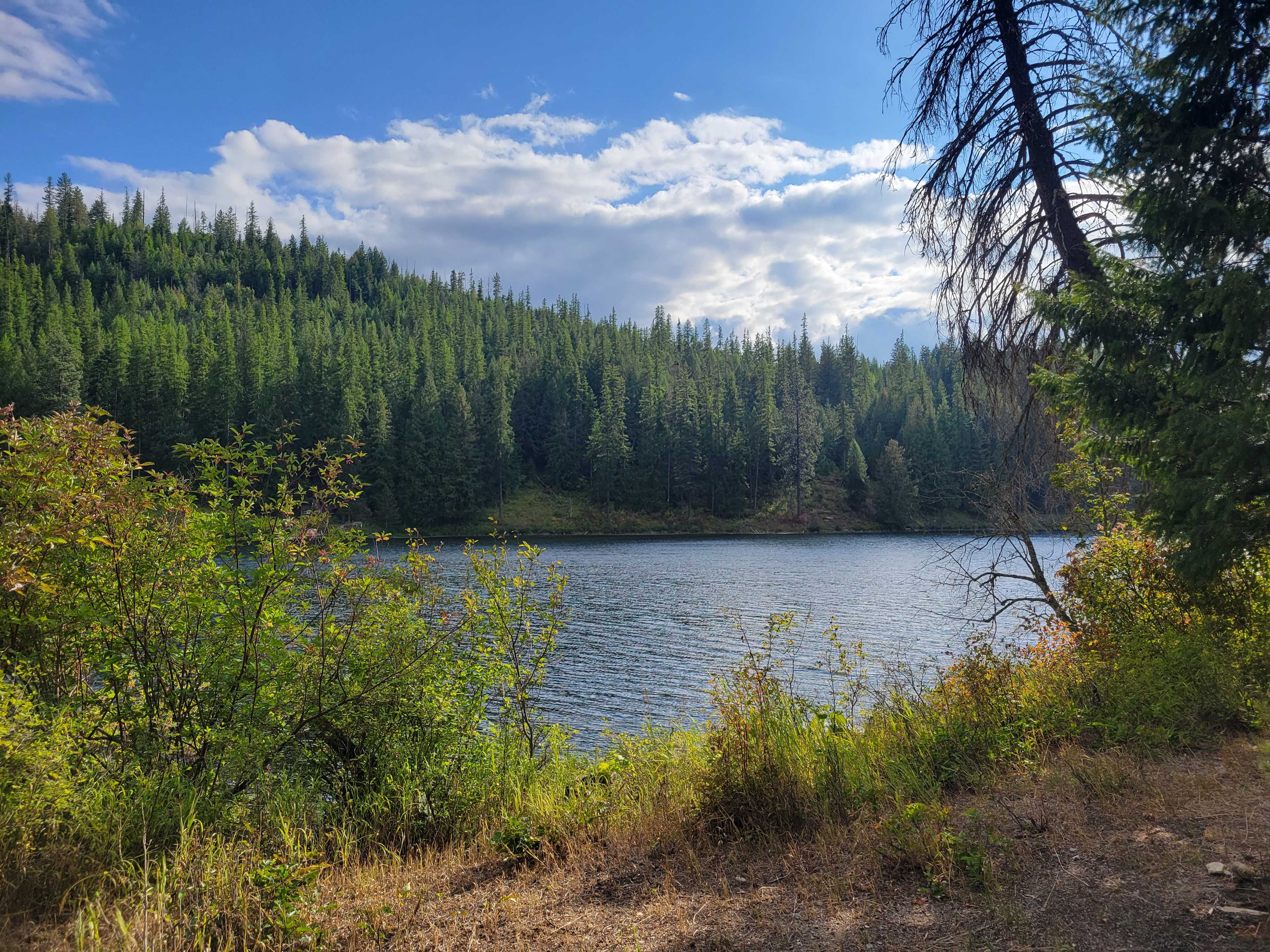 Your view! Lake and pristine forest land