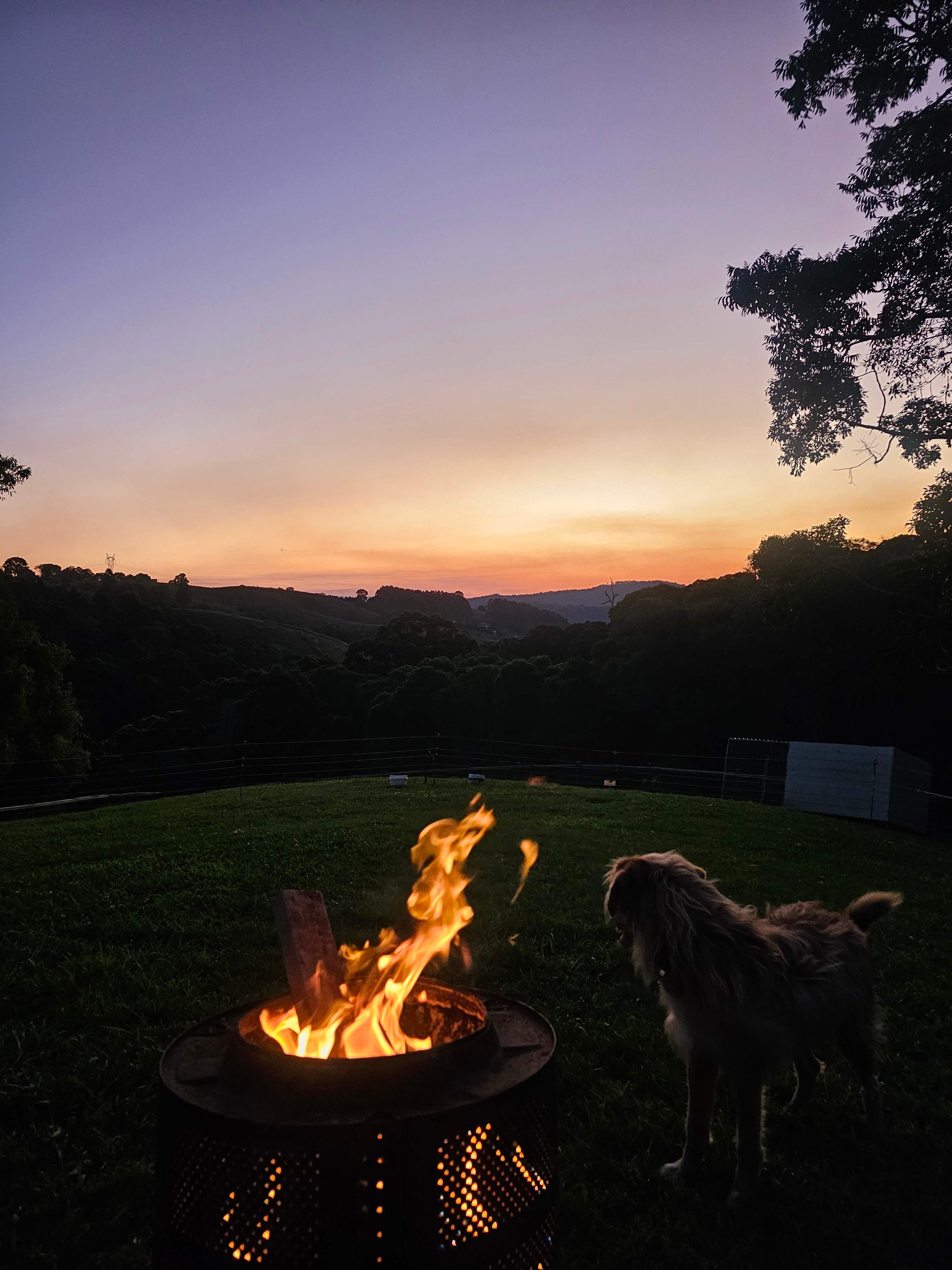 Tranquilvalleynoosa
