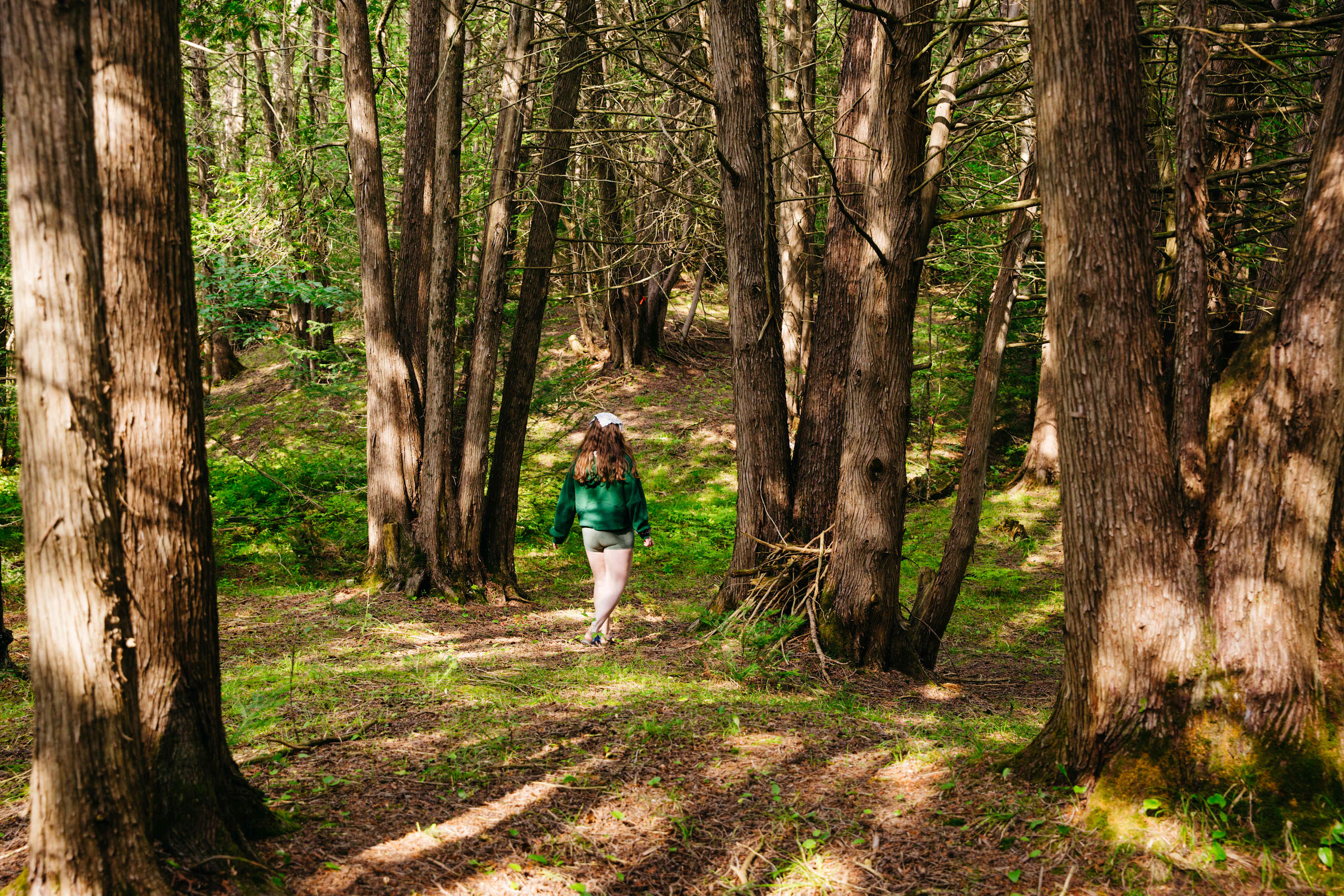A small piece of the marked hiking trails throughout the property