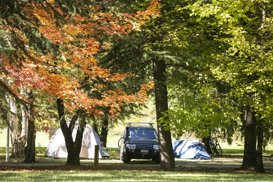 Tawonga Tourist Park