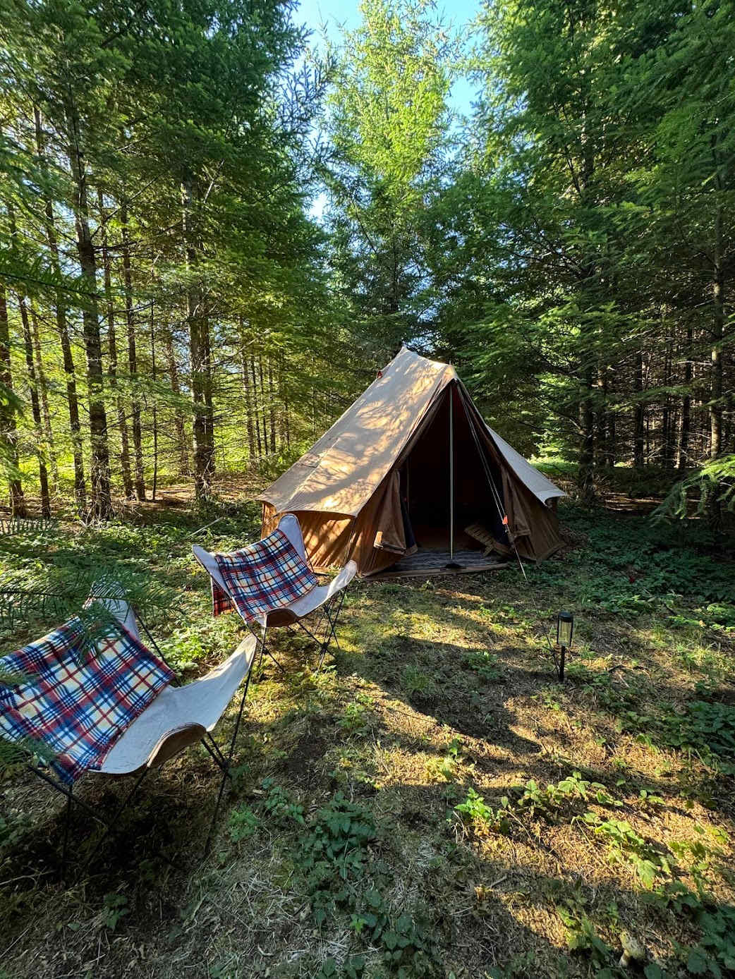 Picture of the site