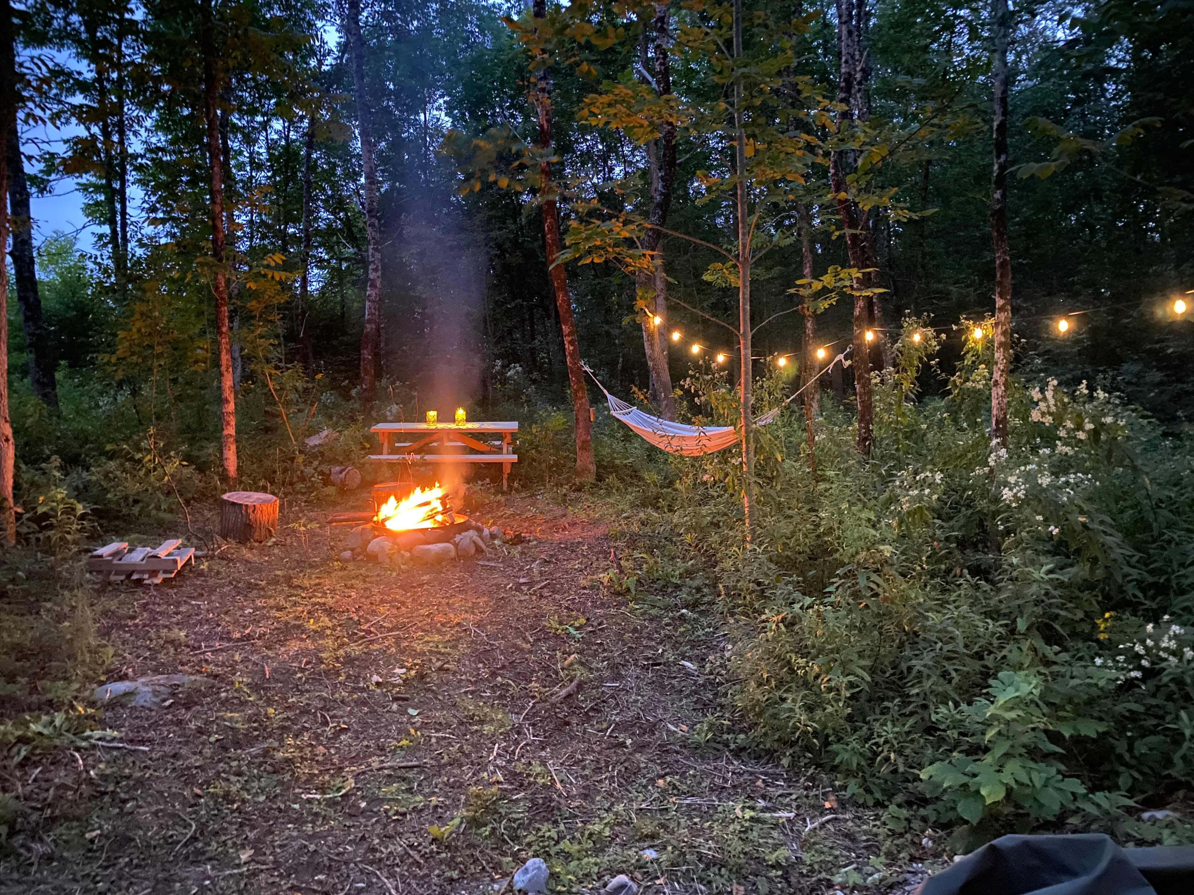 Moose Hill Cabin