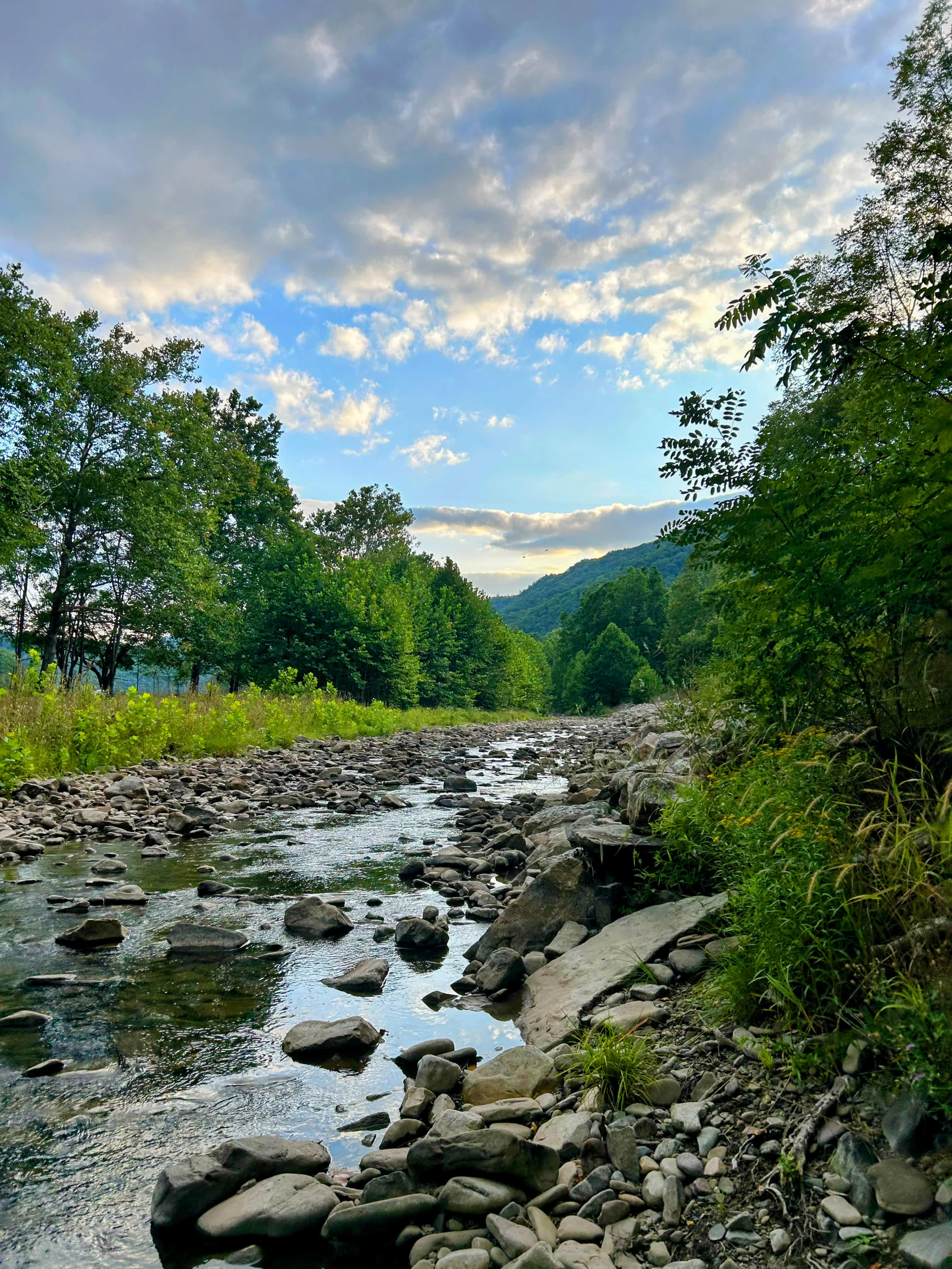 The Trout Camp