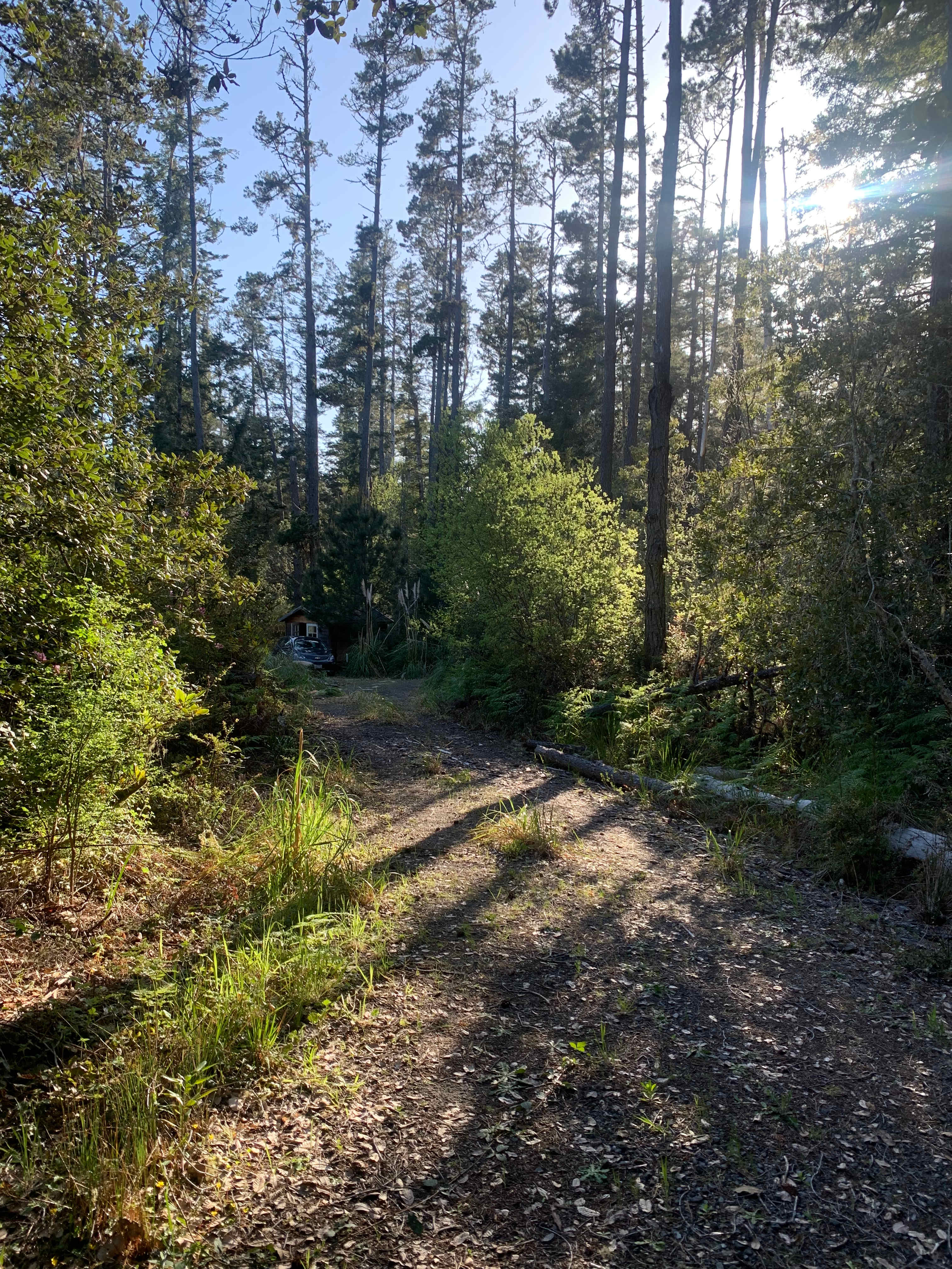 Mendocino Hideaway