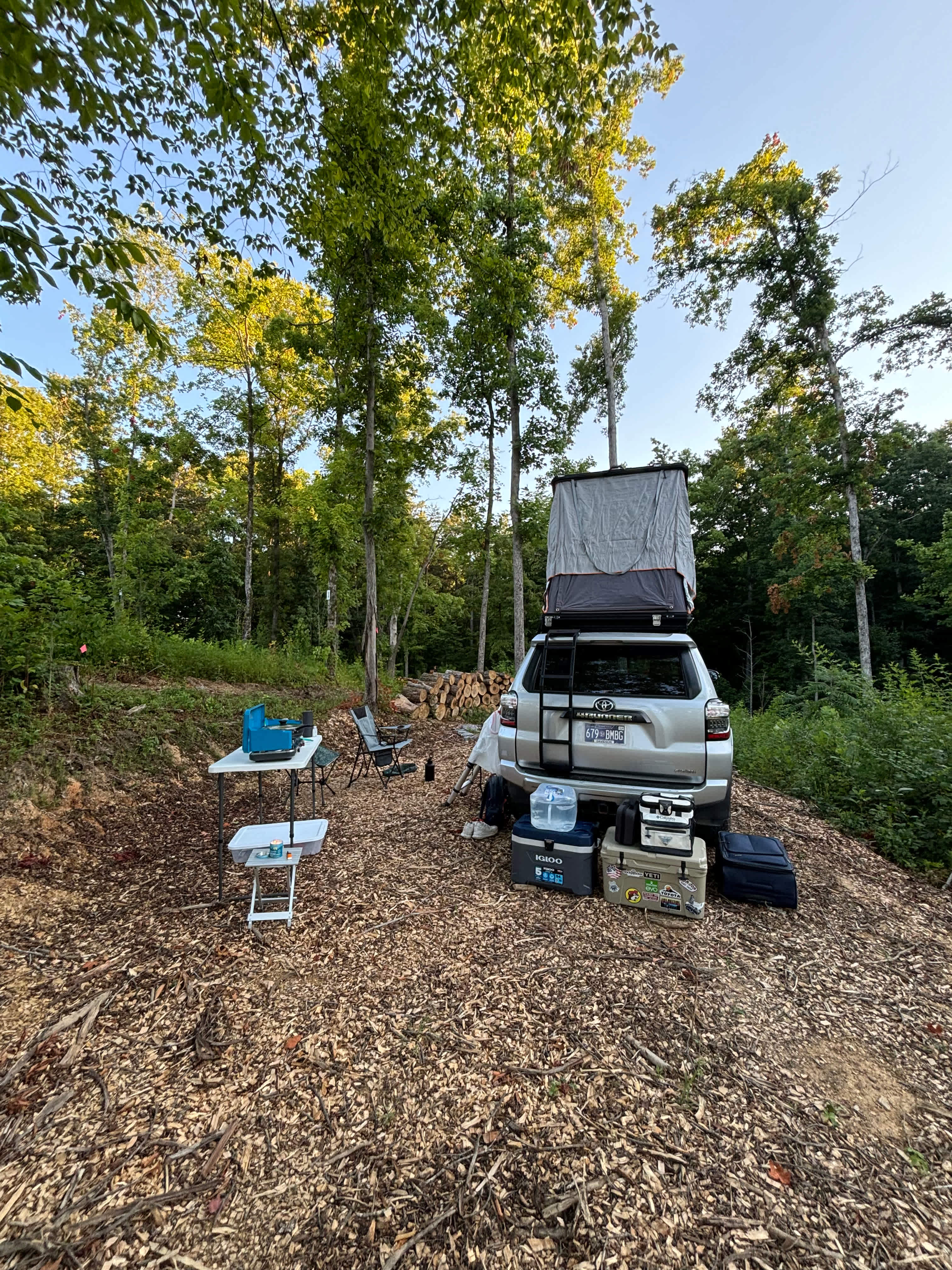 Picture of the site