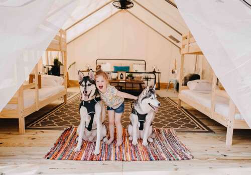Timberline Glamping Naples