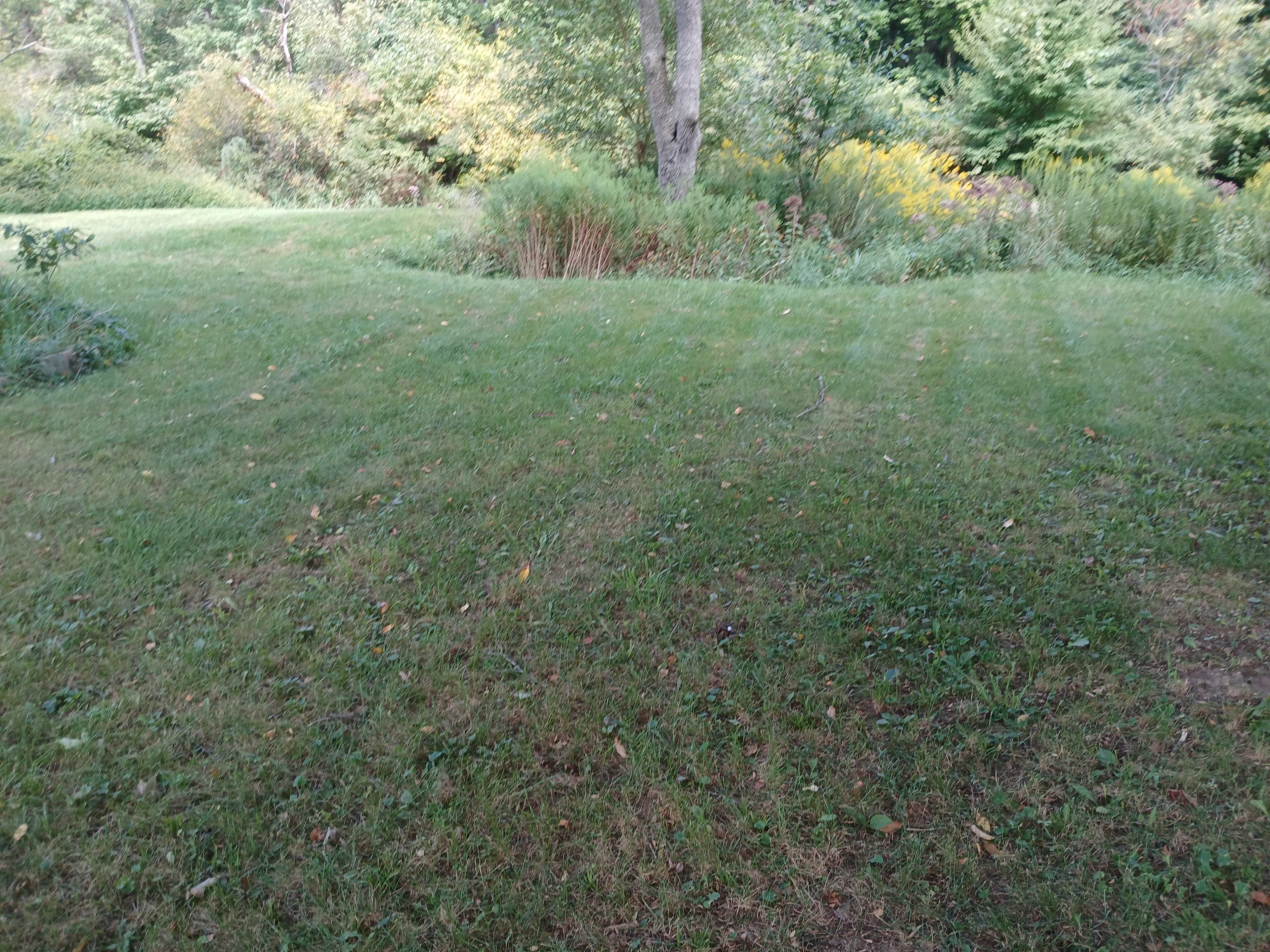The Black Sheep Farm And Camp
