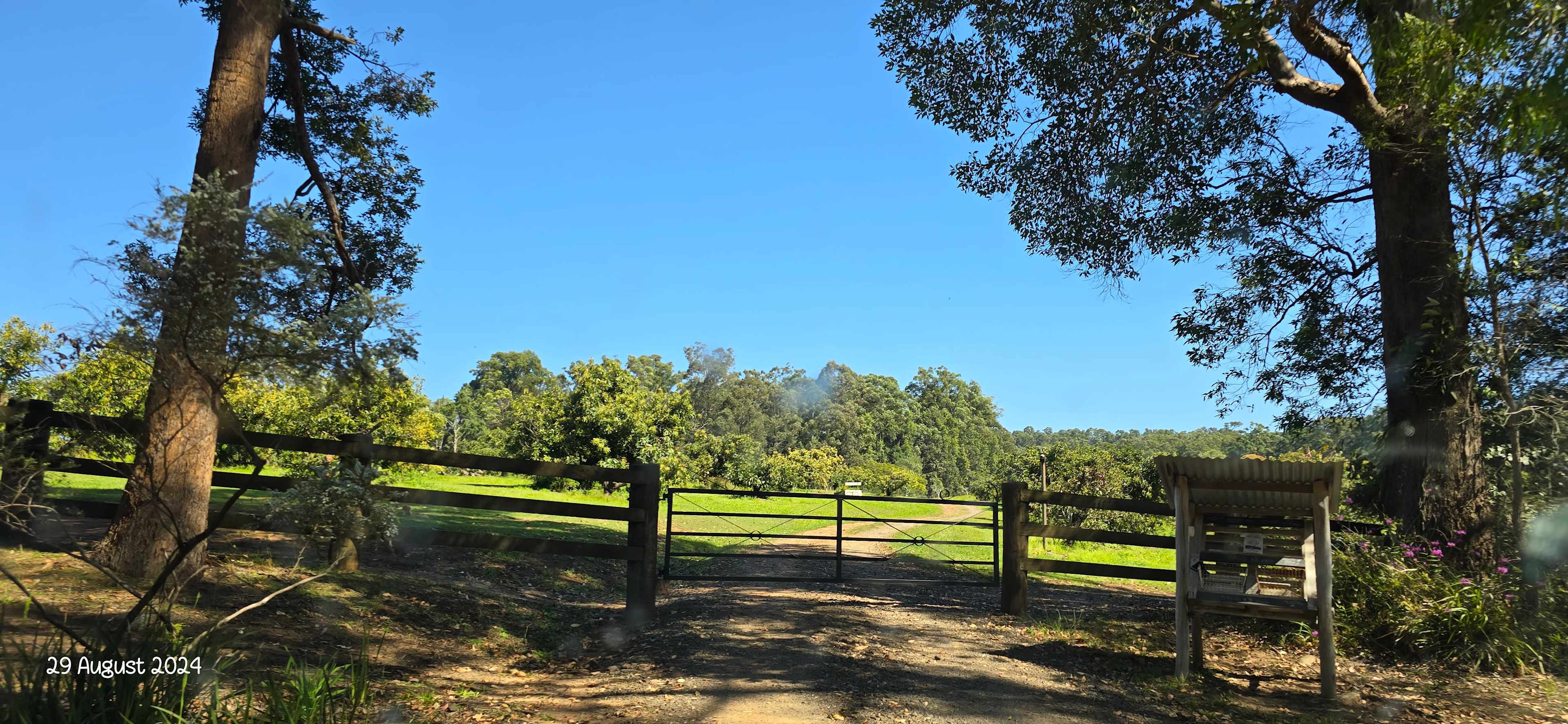 Picture of the site