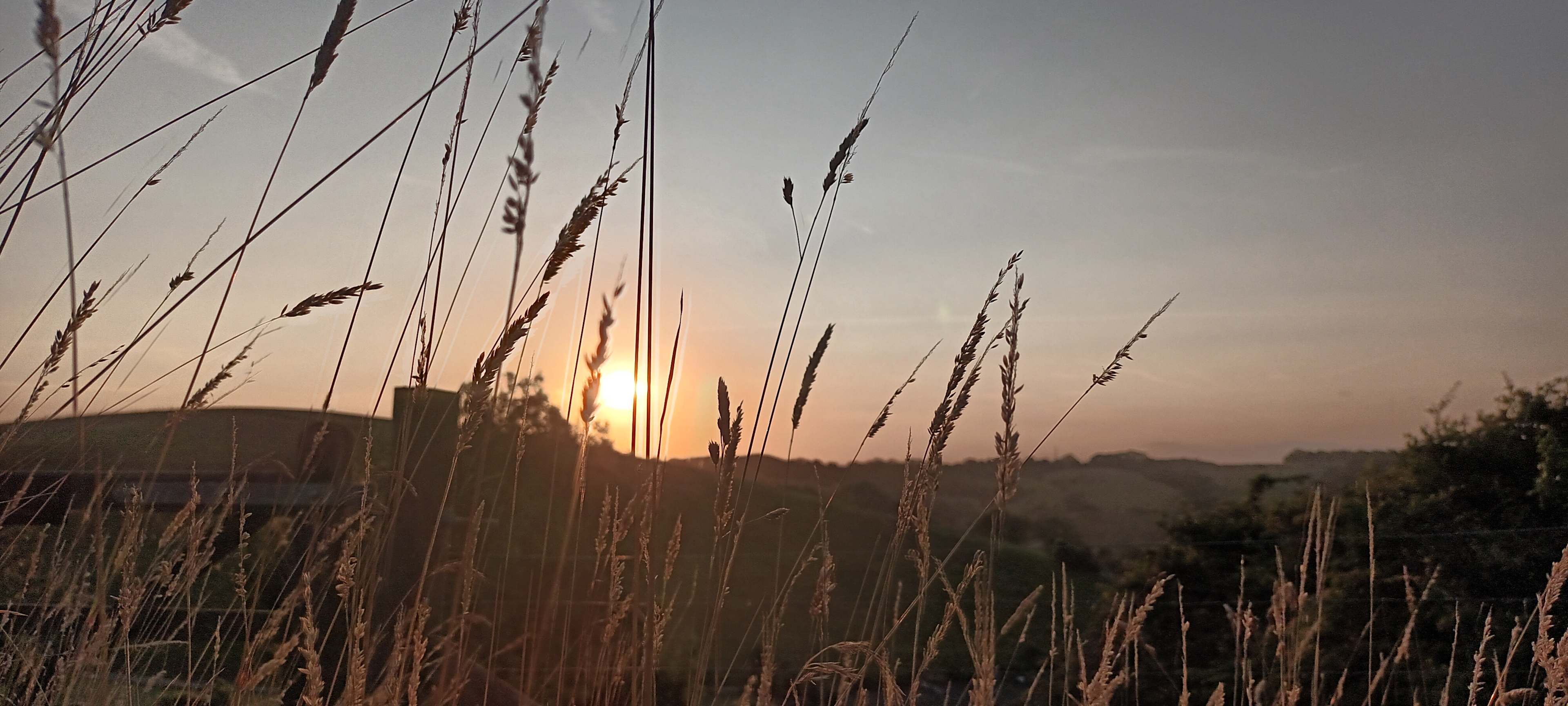 Greenhill Glamping