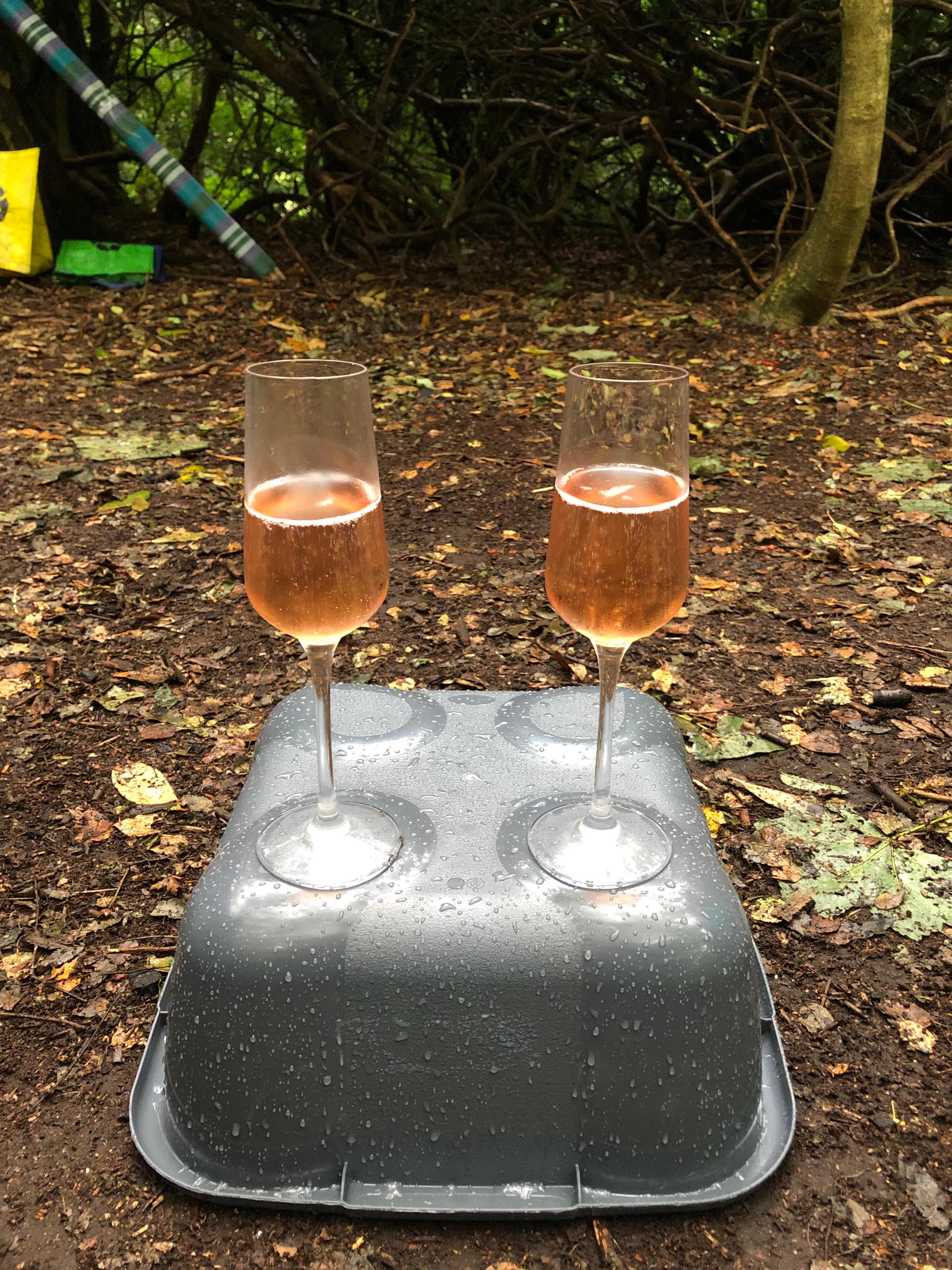 Woodsworth Exploring