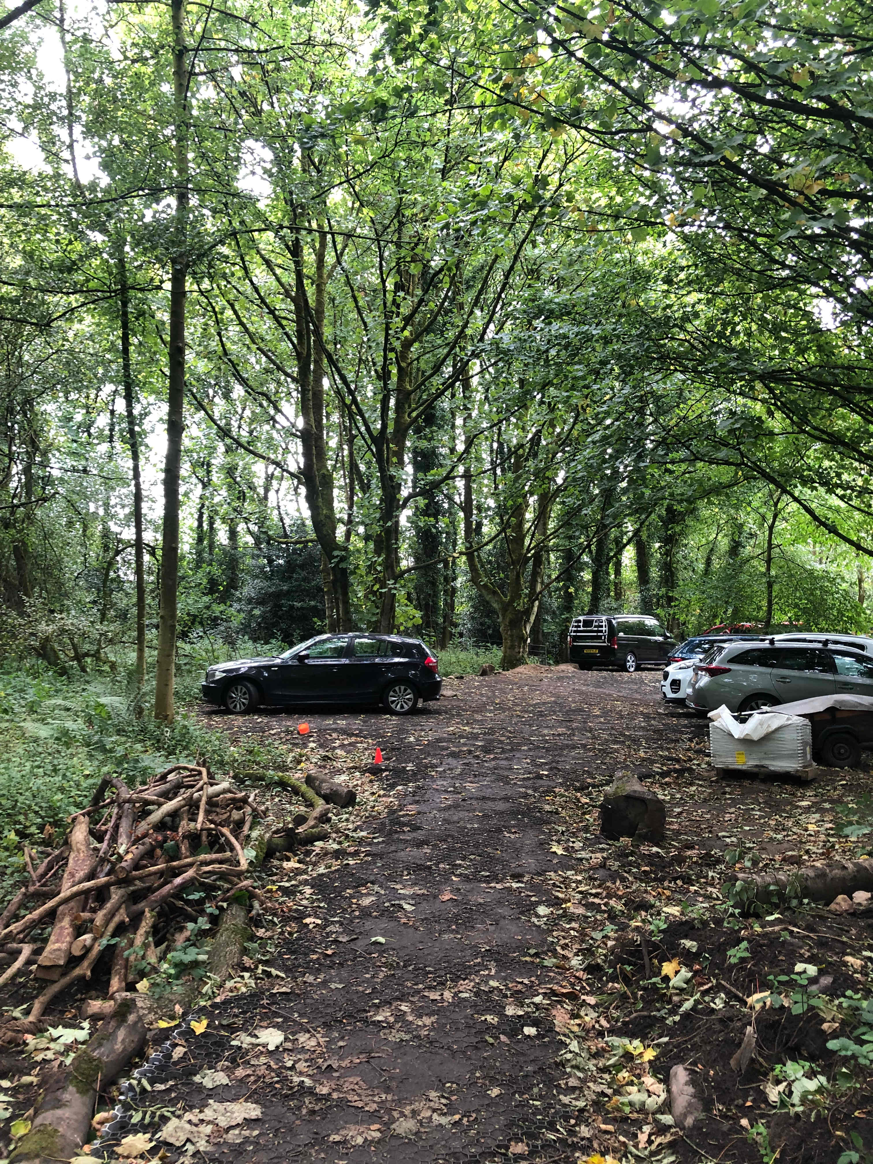 Woodsworth Exploring