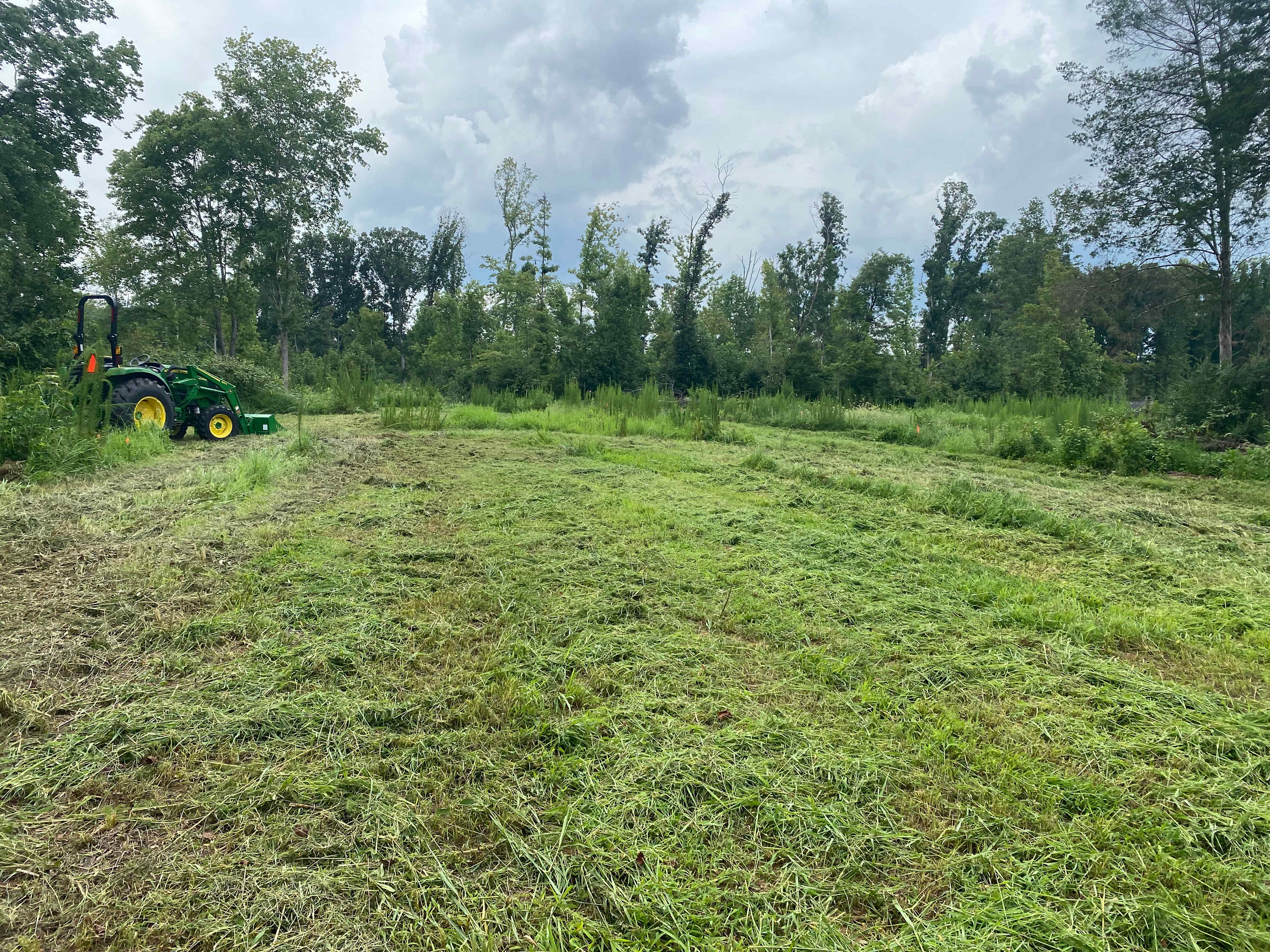 LaMadre Farms