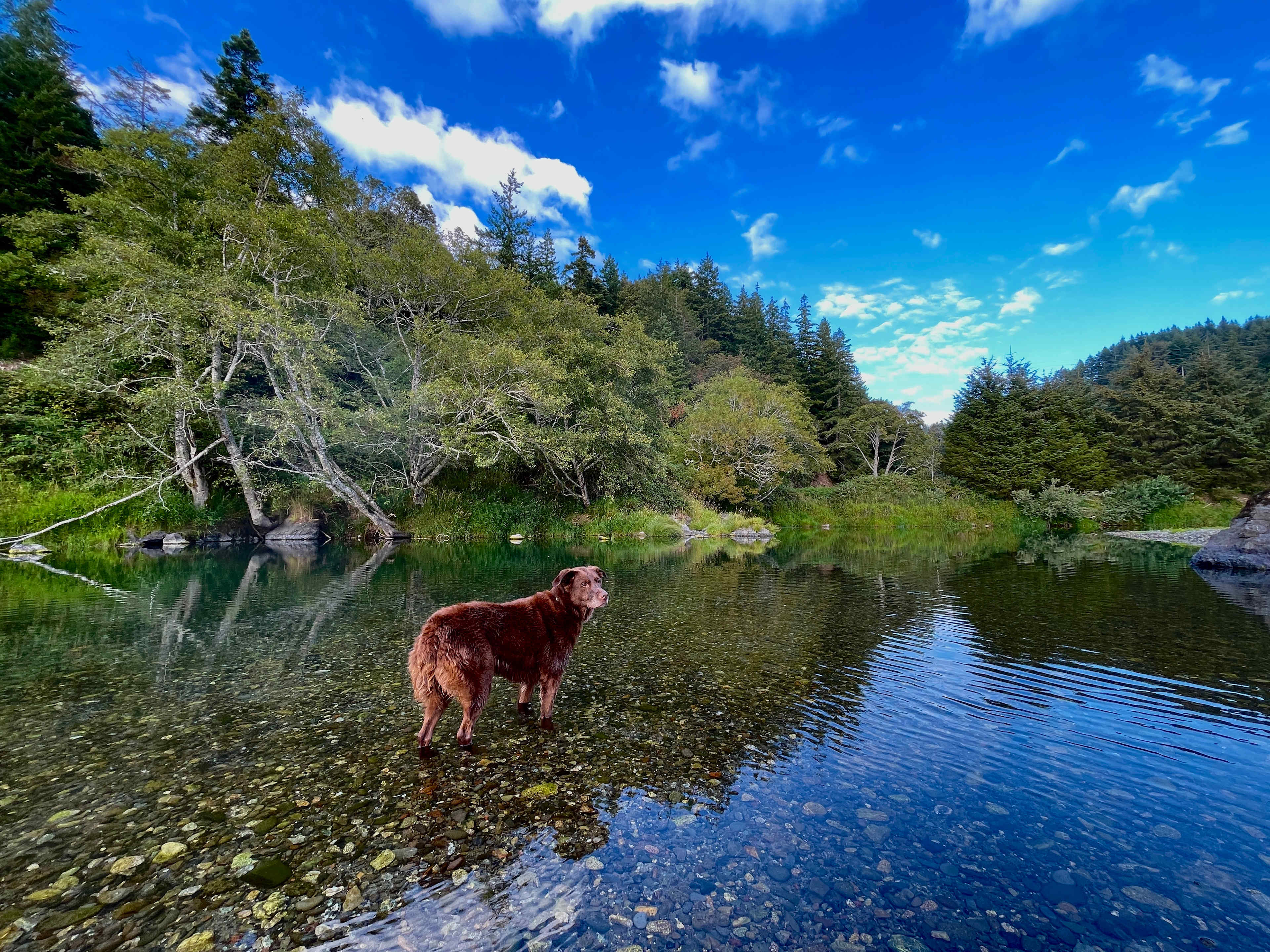 Indian Creek