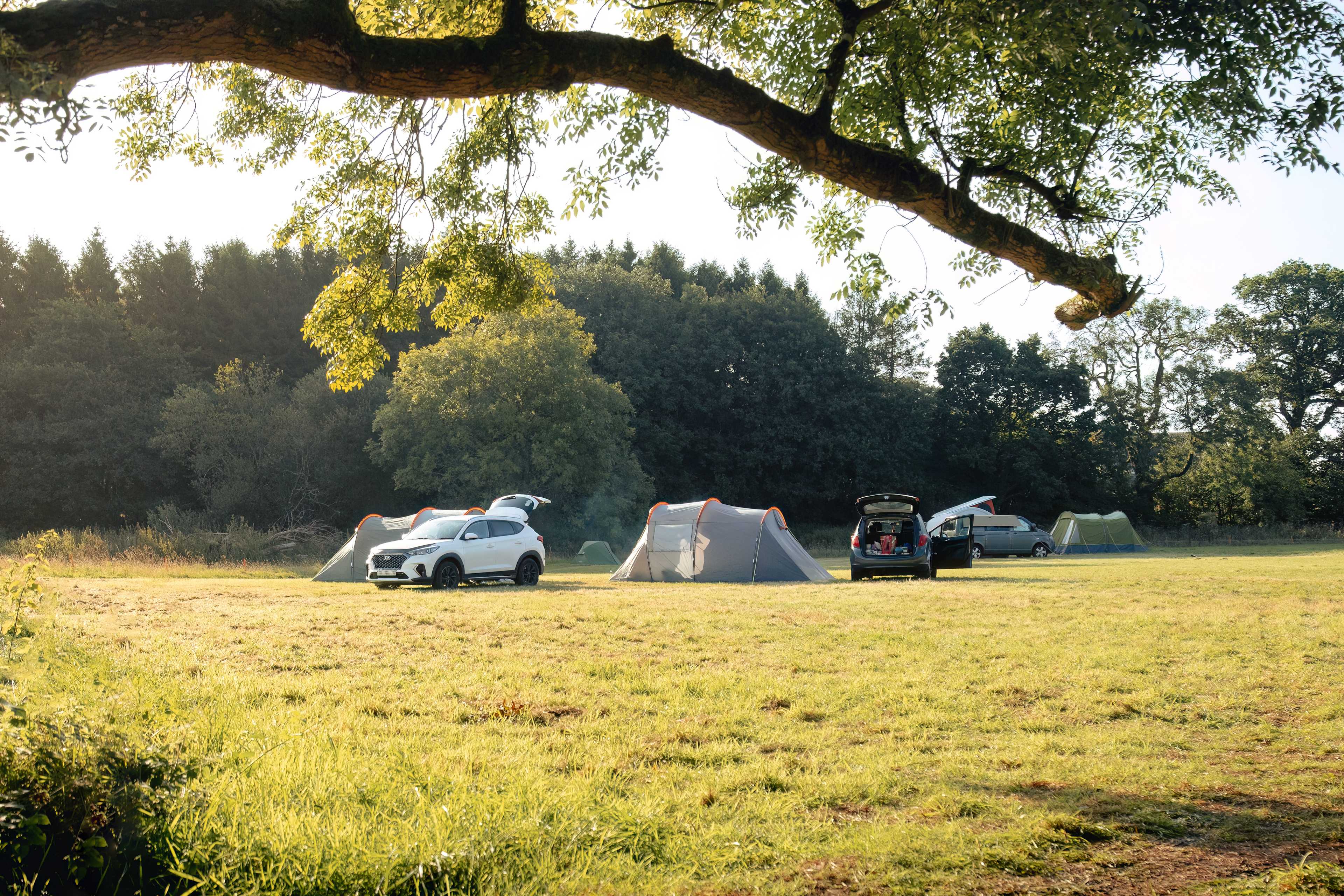 The site is designed for peace and tranquility, with a limited number of pitches and loads of space between them.