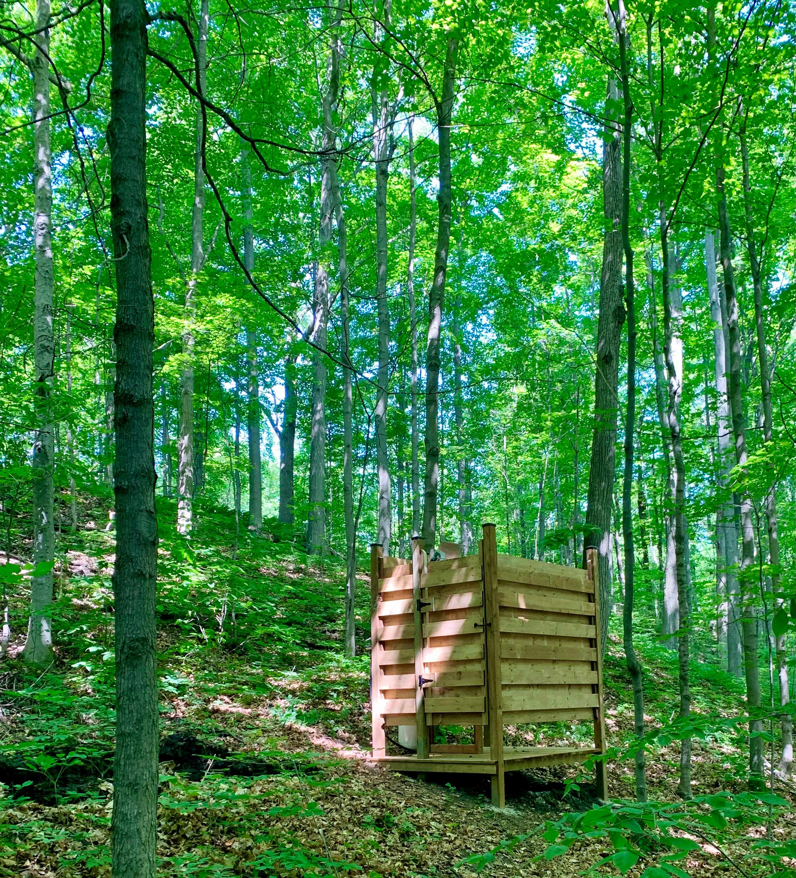 Forest Bunkie on Bruce Trail
