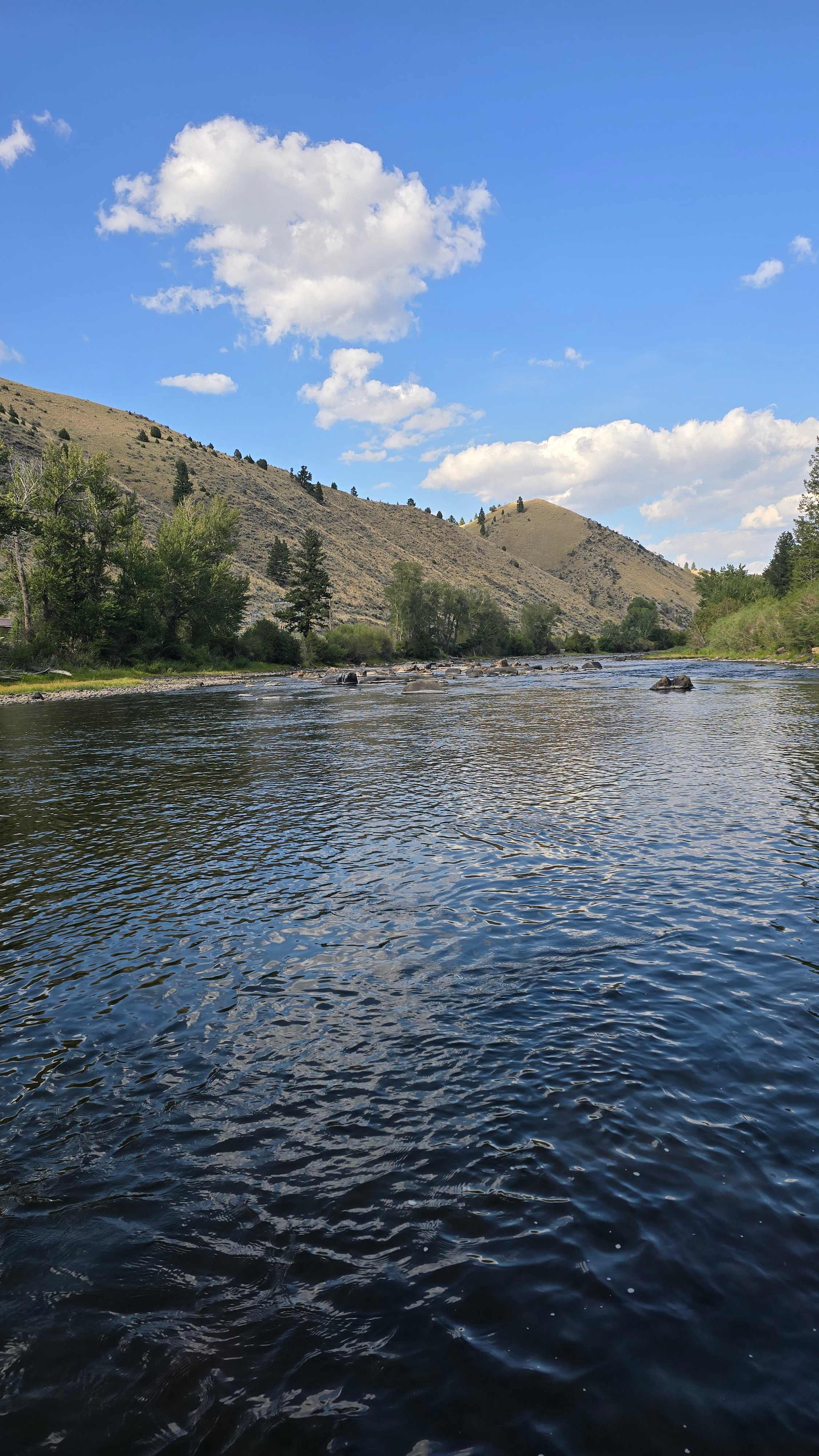 Angler's Paradise