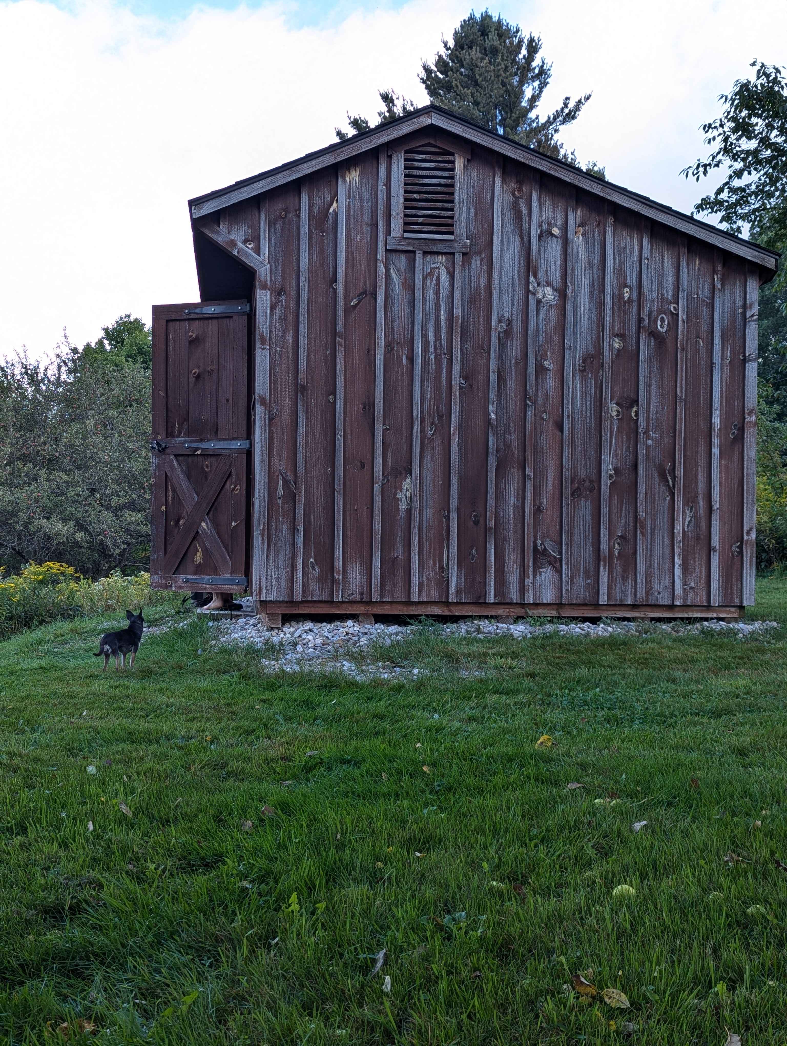 BlueberryHill  Field Camp