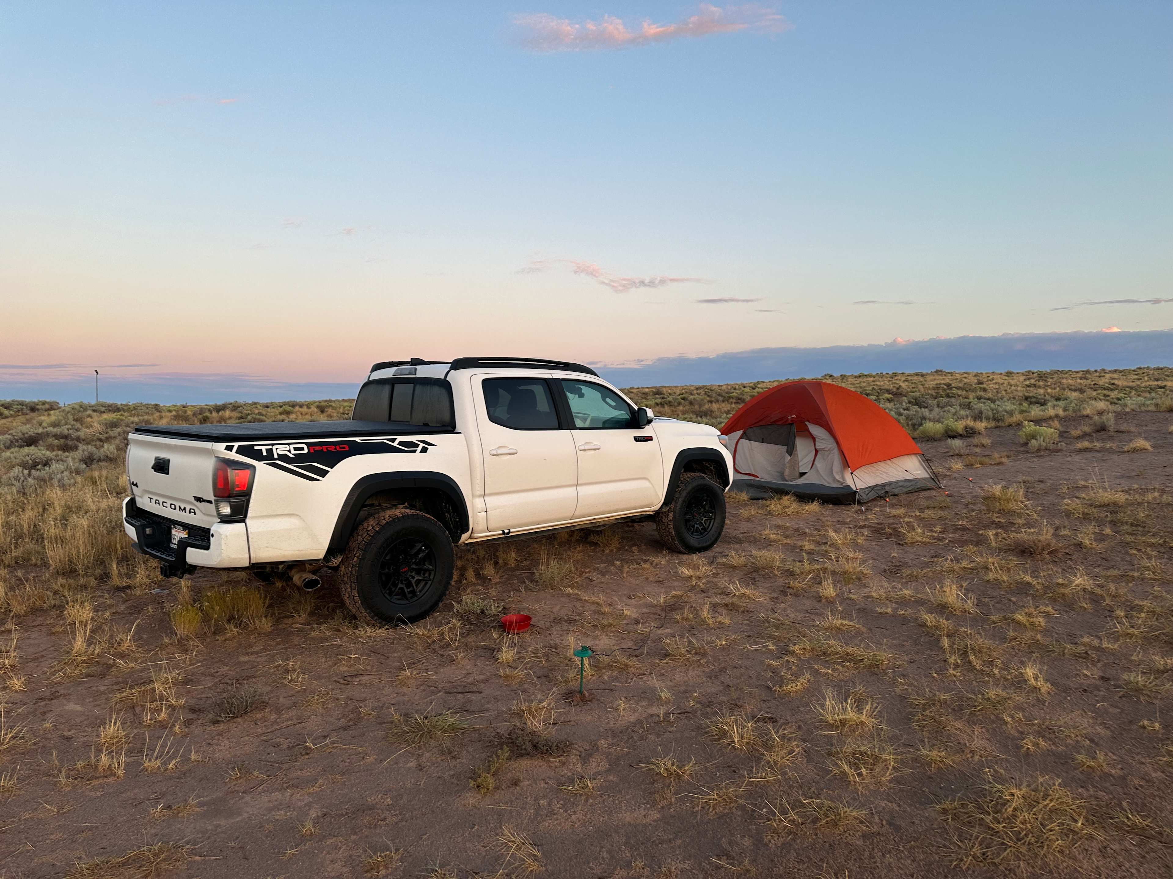 Front Row Seat! Petrified Forest!
