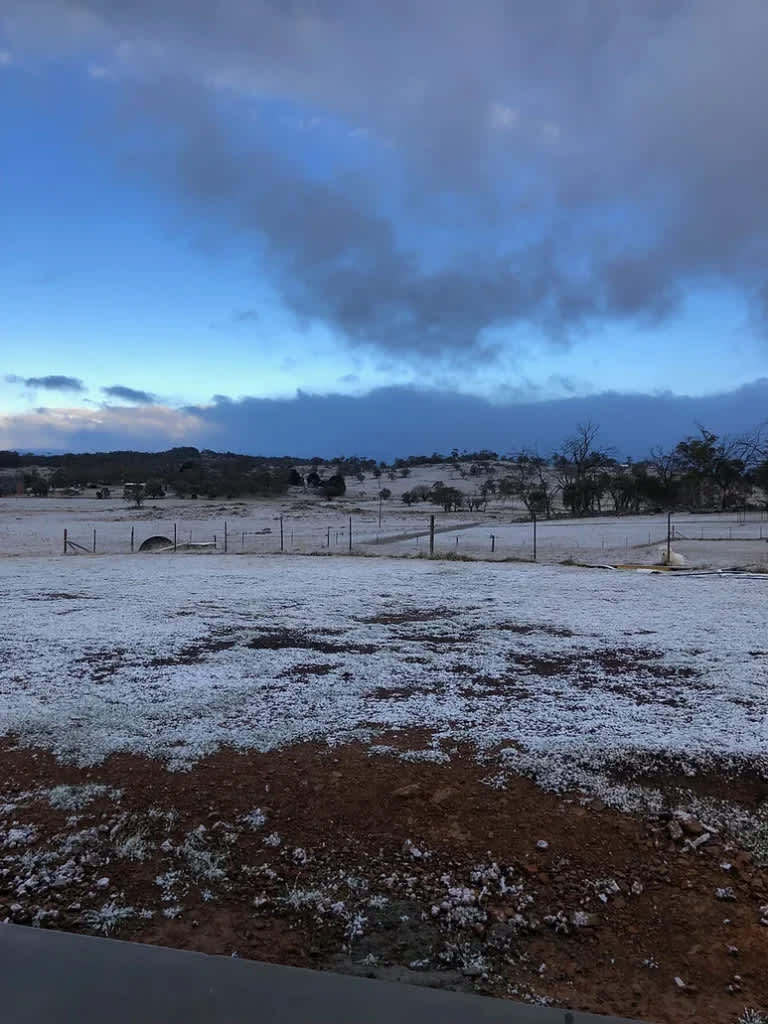Avonside Alpine Estate