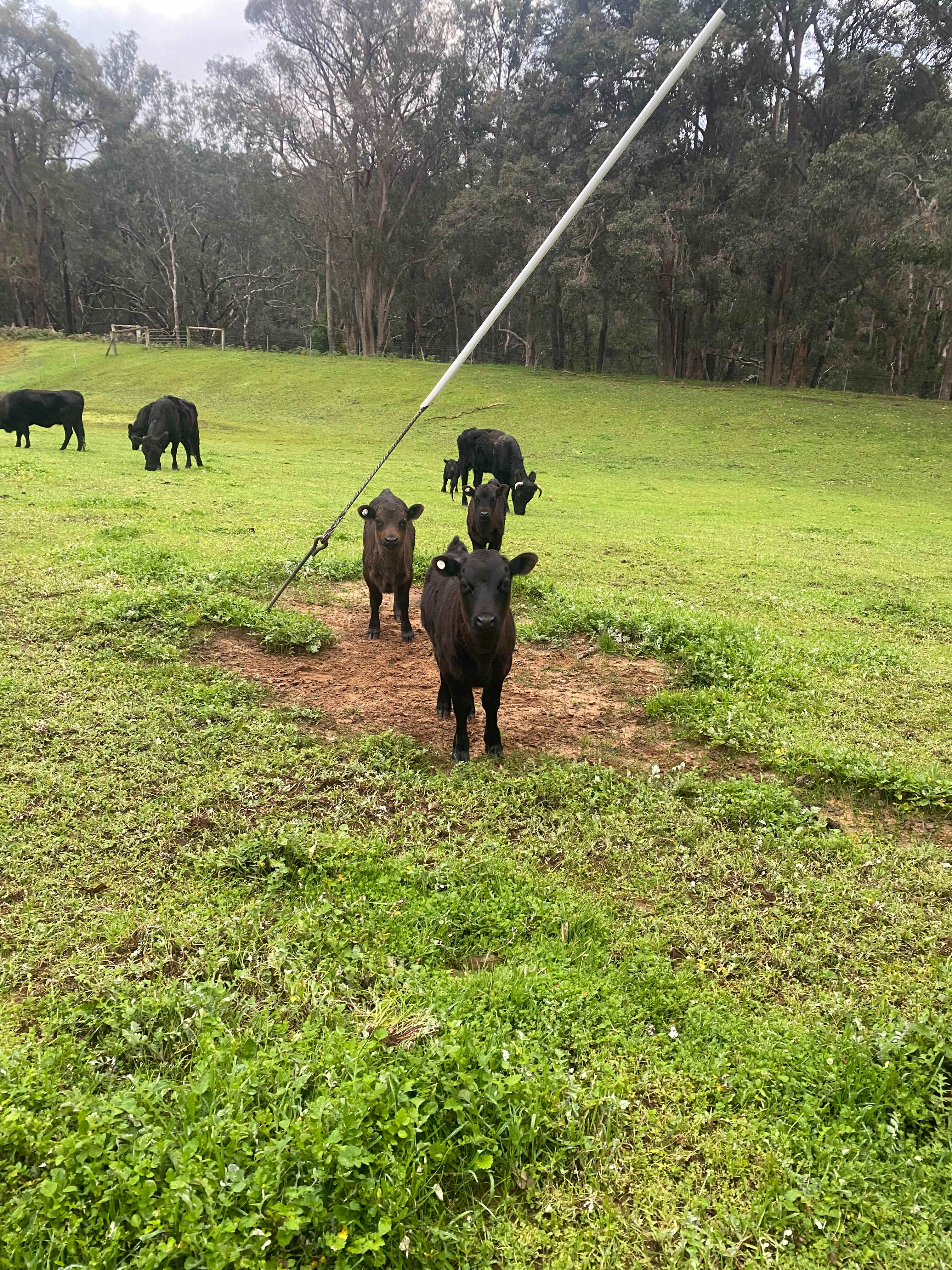 Nannup River Cottages