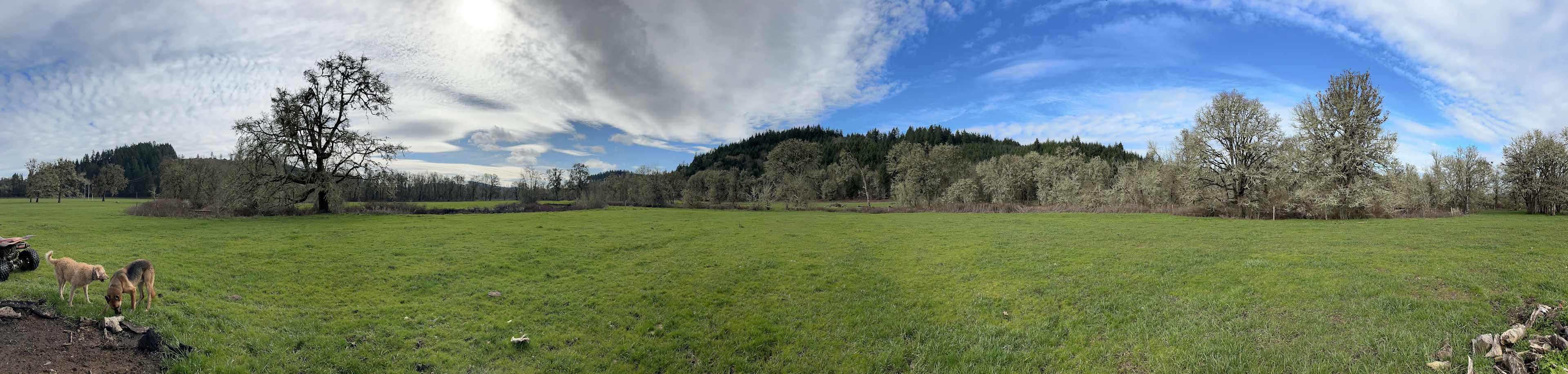 Coyote Camp
