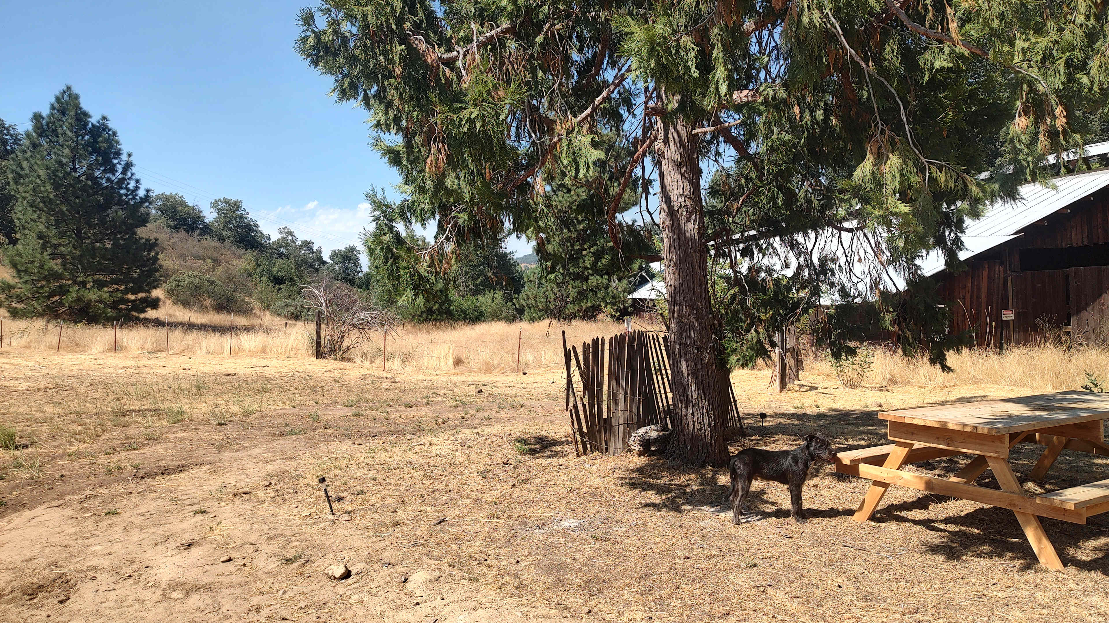 Picture of the site