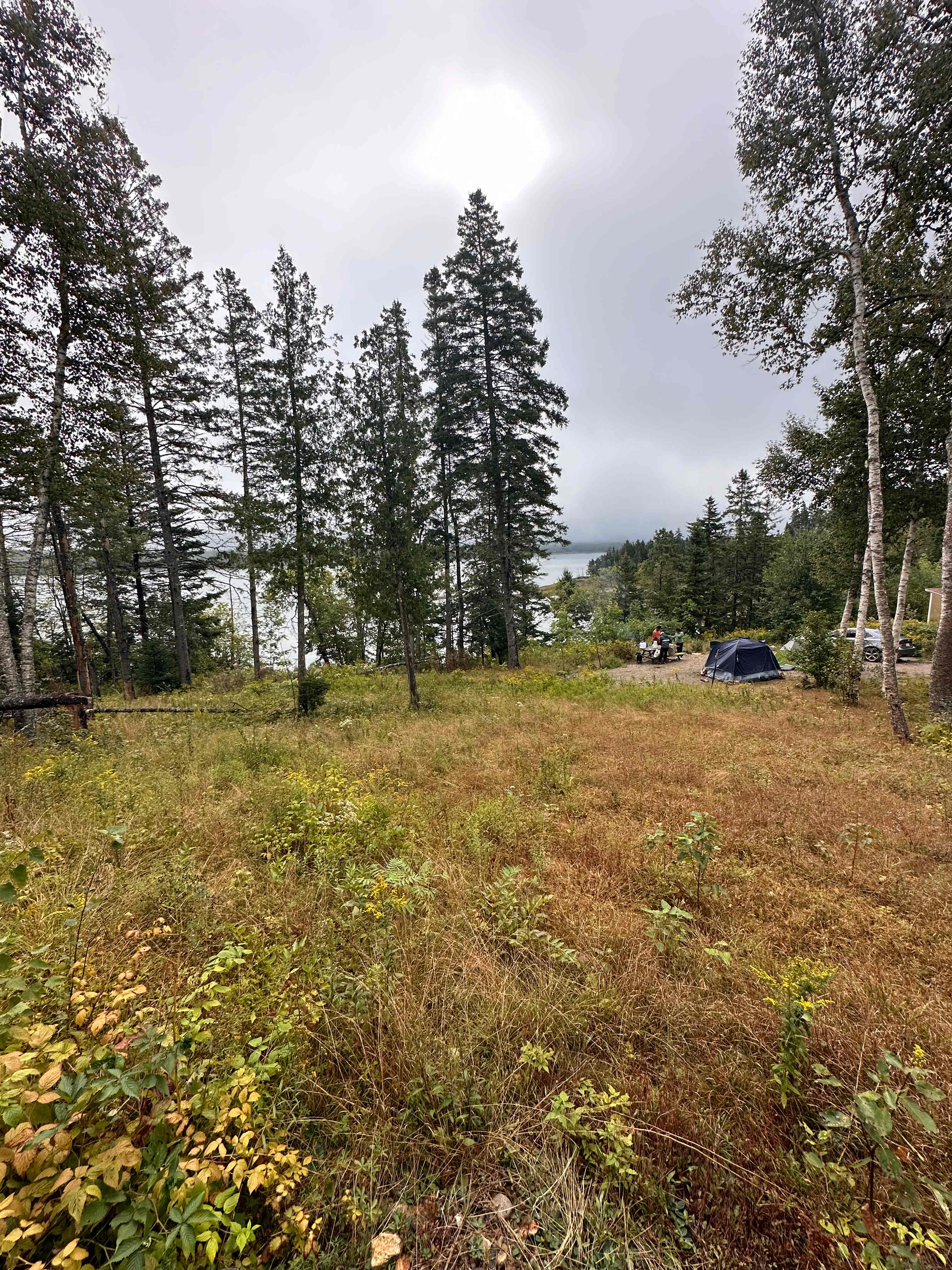 Picture of the site