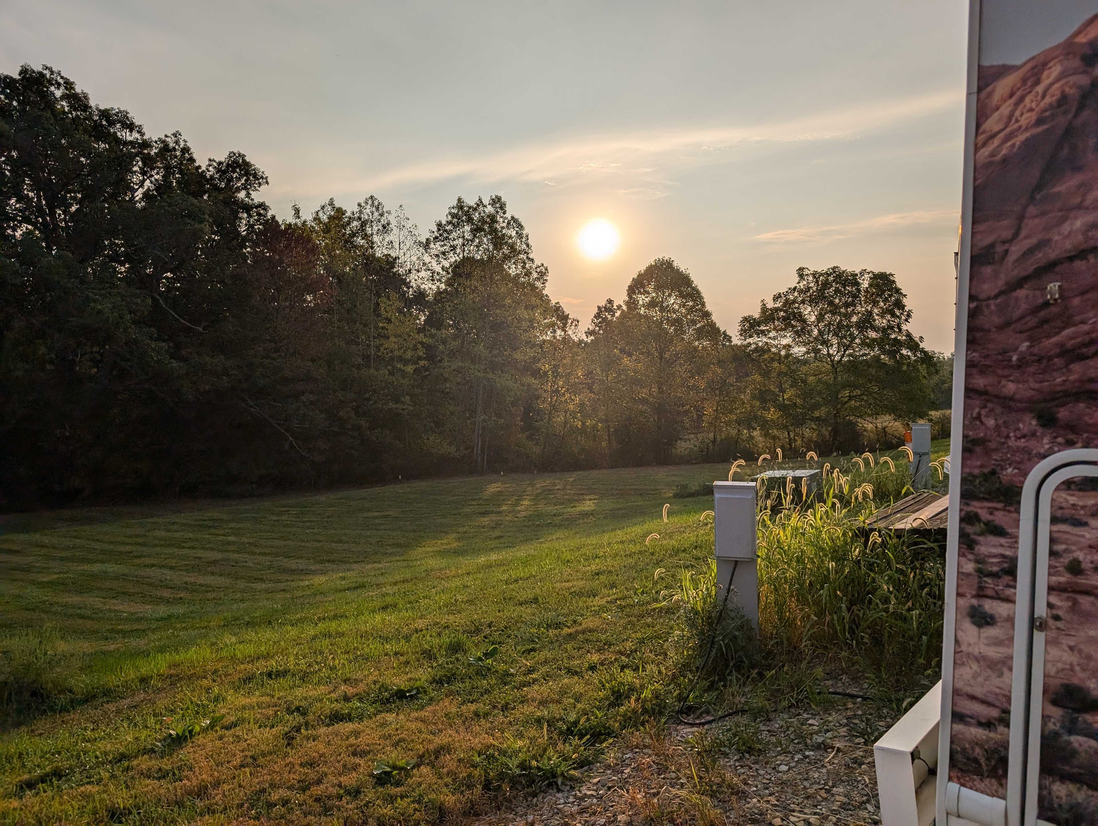 Picture of the site