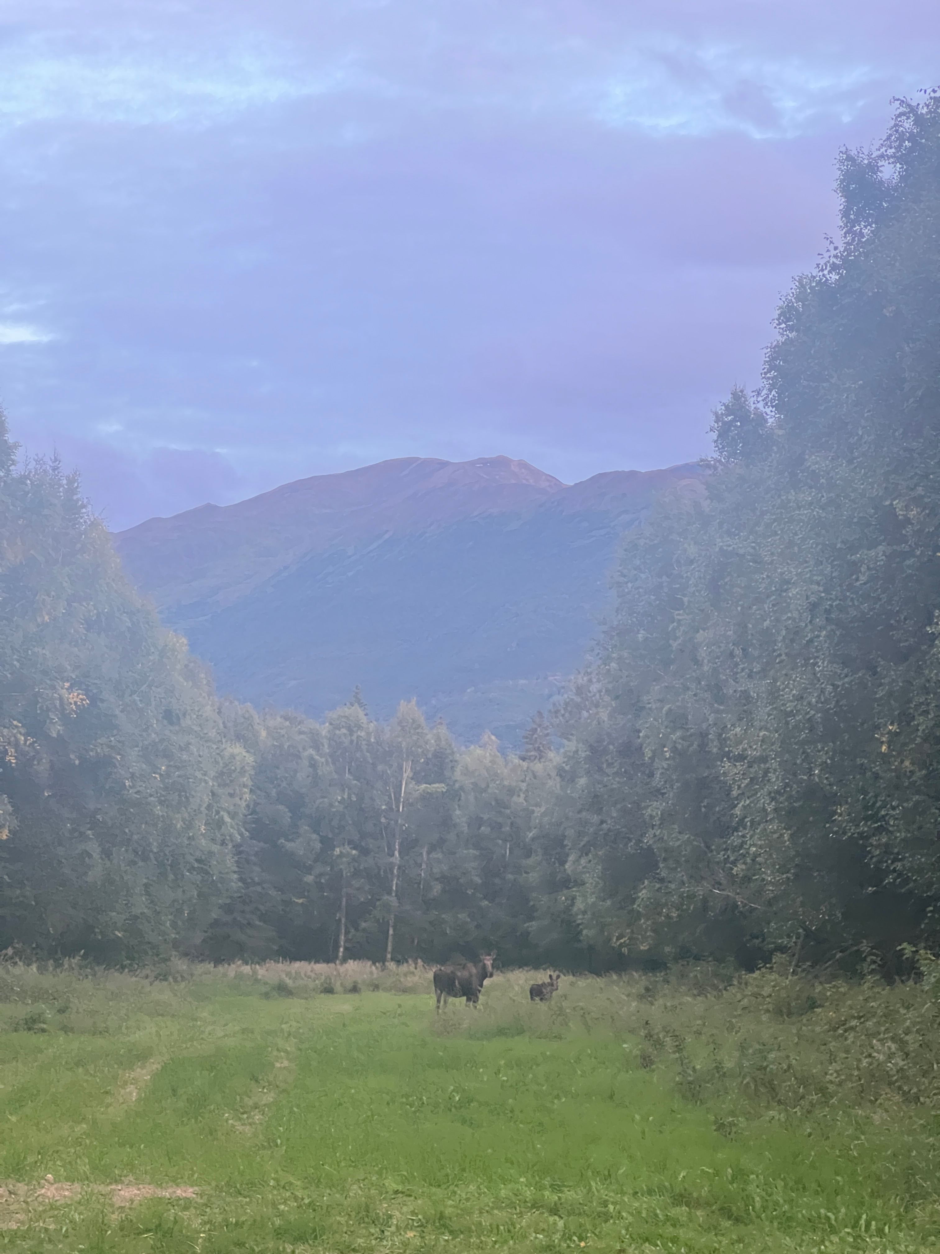 Jim Creek Blank Land